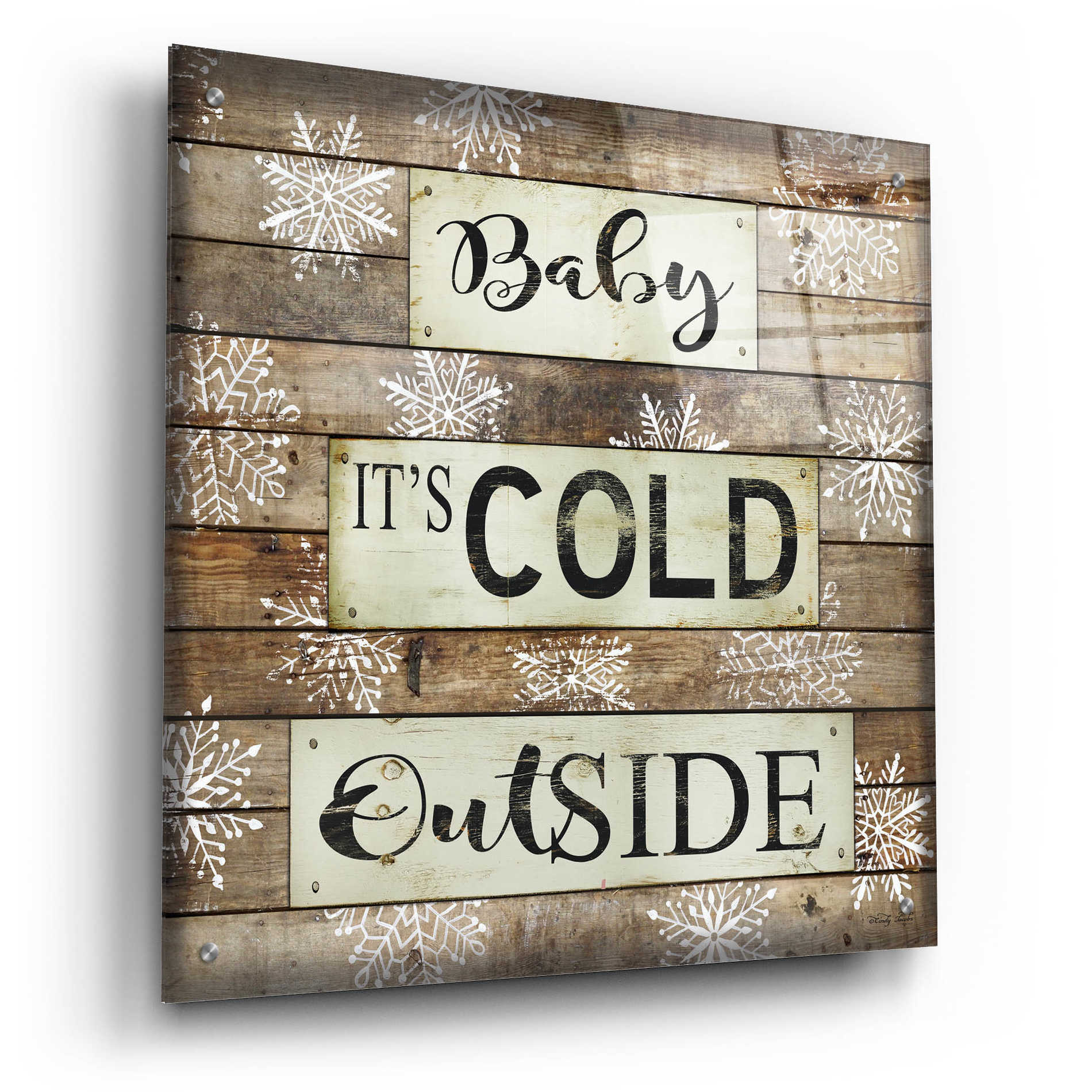 Epic Art 'Baby It's Cold Outside' by Cindy Jacobs, Acrylic Glass Wall Art,24x24