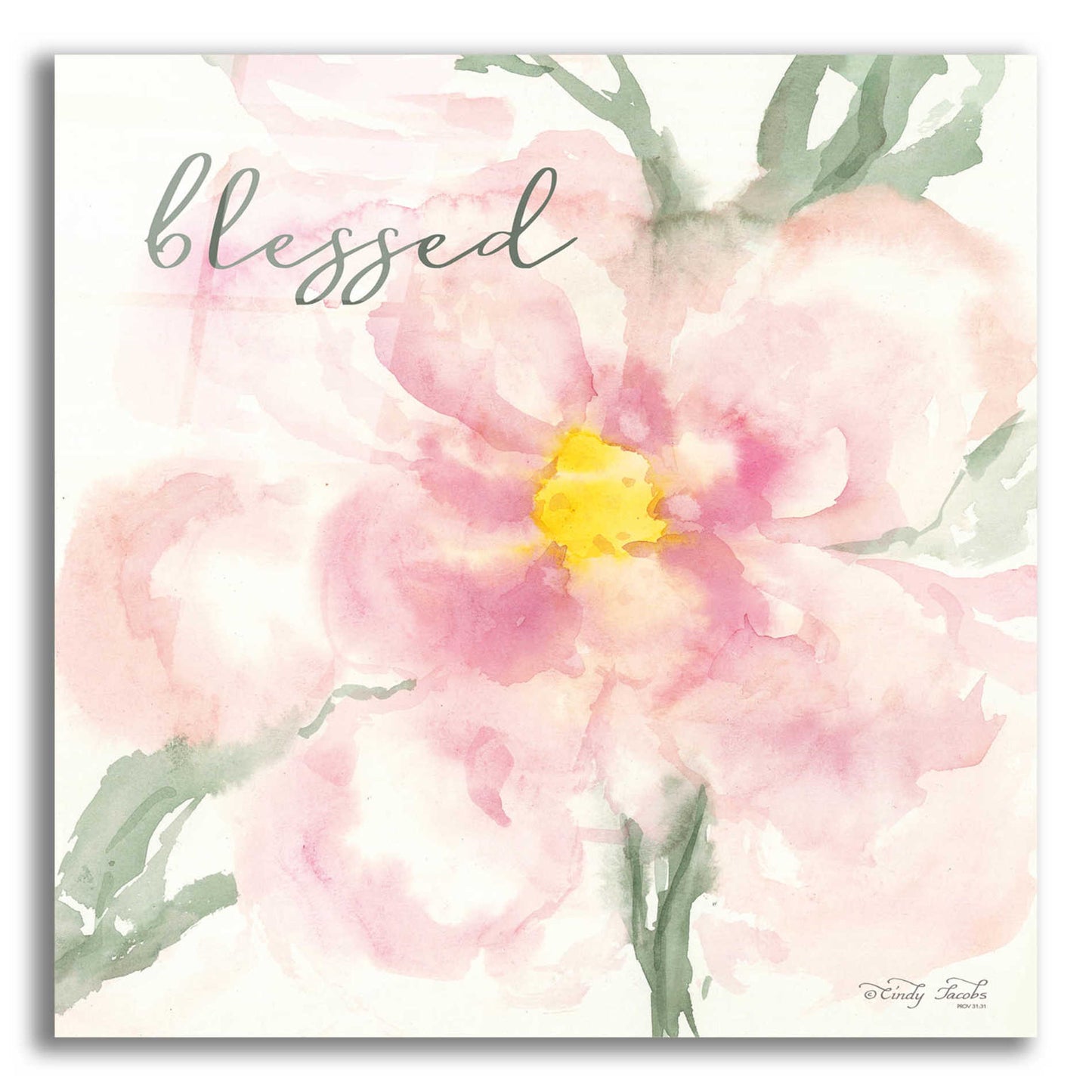 Epic Art 'Floral Blessed' by Cindy Jacobs, Acrylic Glass Wall Art,12x12