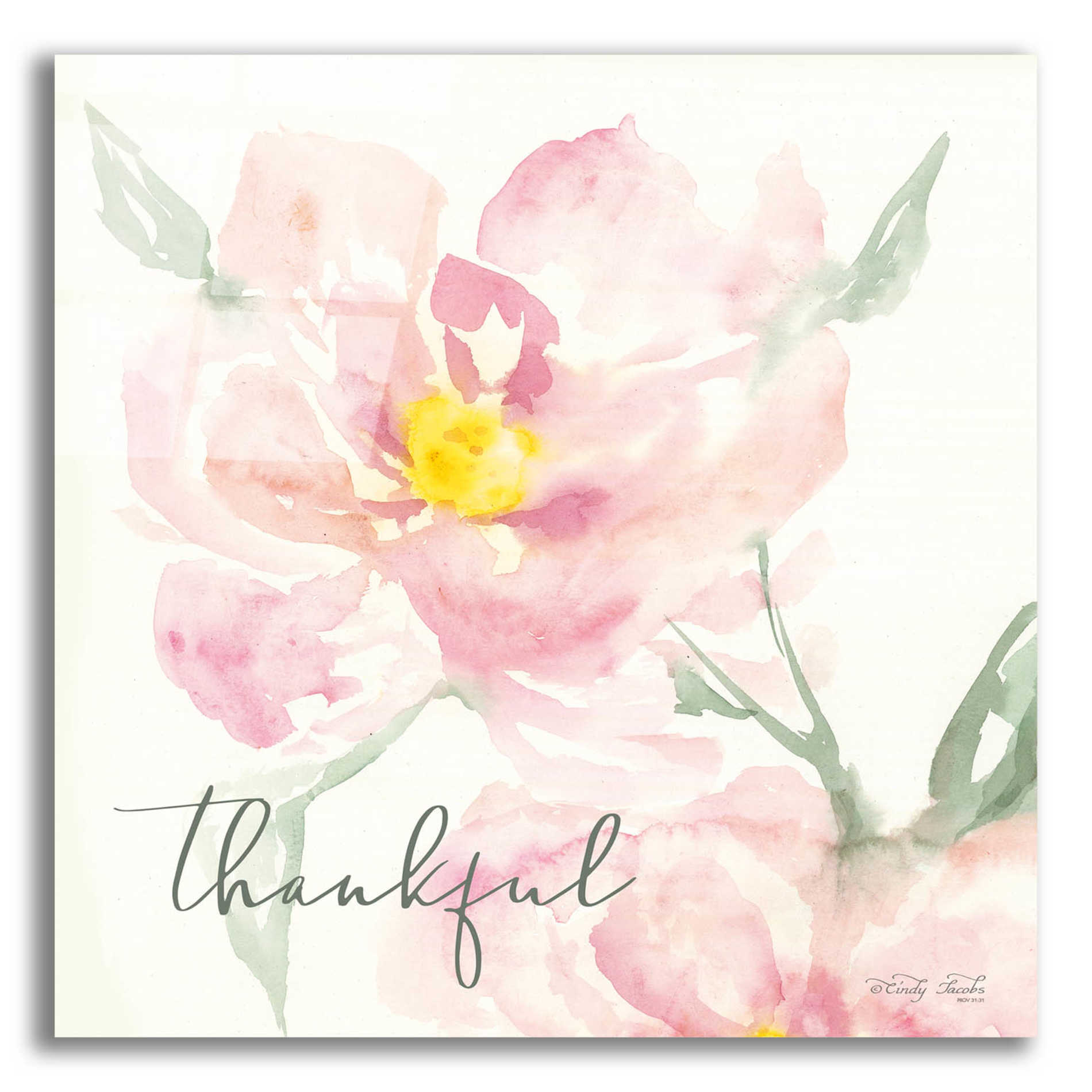 Epic Art 'Floral Thankful' by Cindy Jacobs, Acrylic Glass Wall Art,12x12