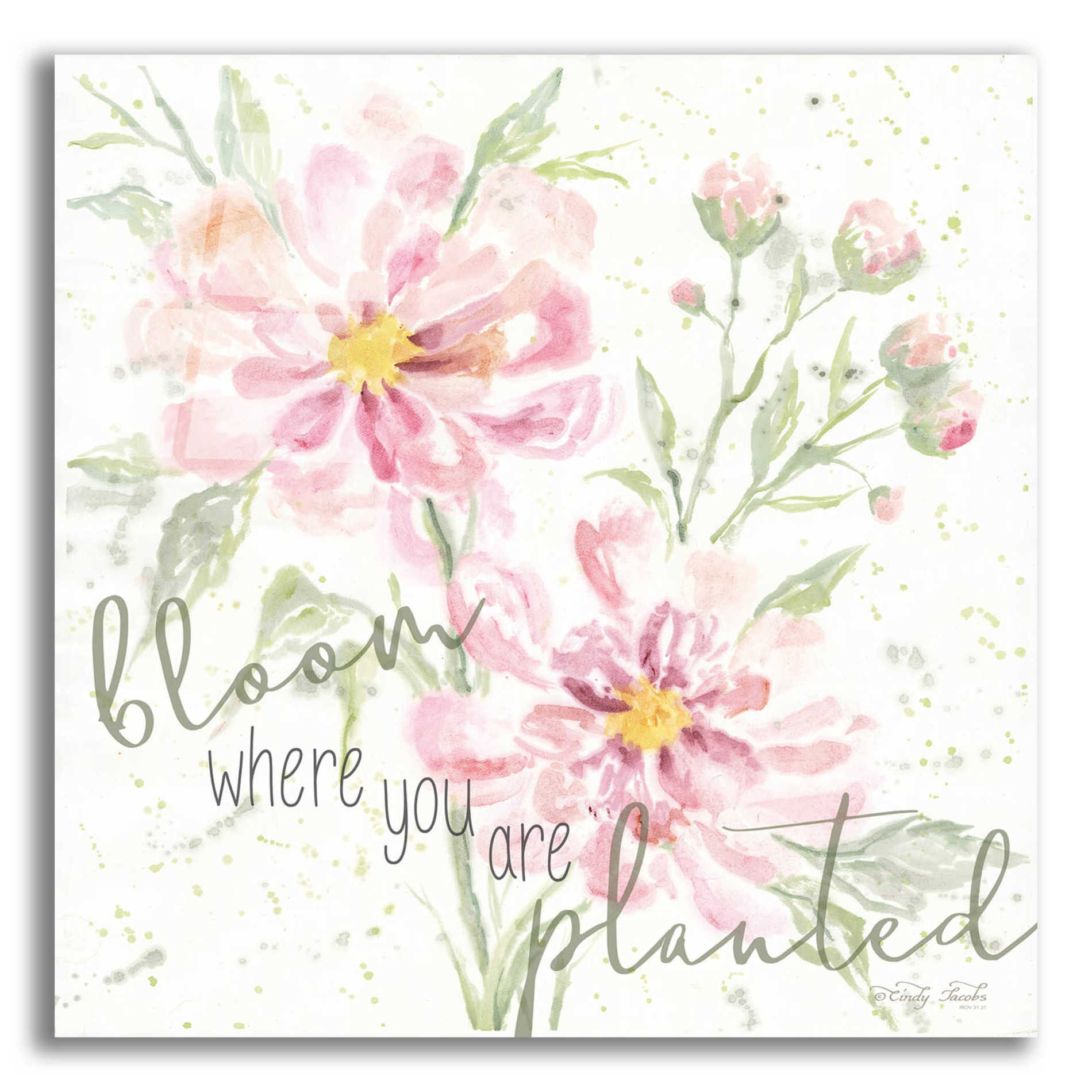 Epic Art 'Bloom Where You are Planted' by Cindy Jacobs, Acrylic Glass Wall Art,12x12