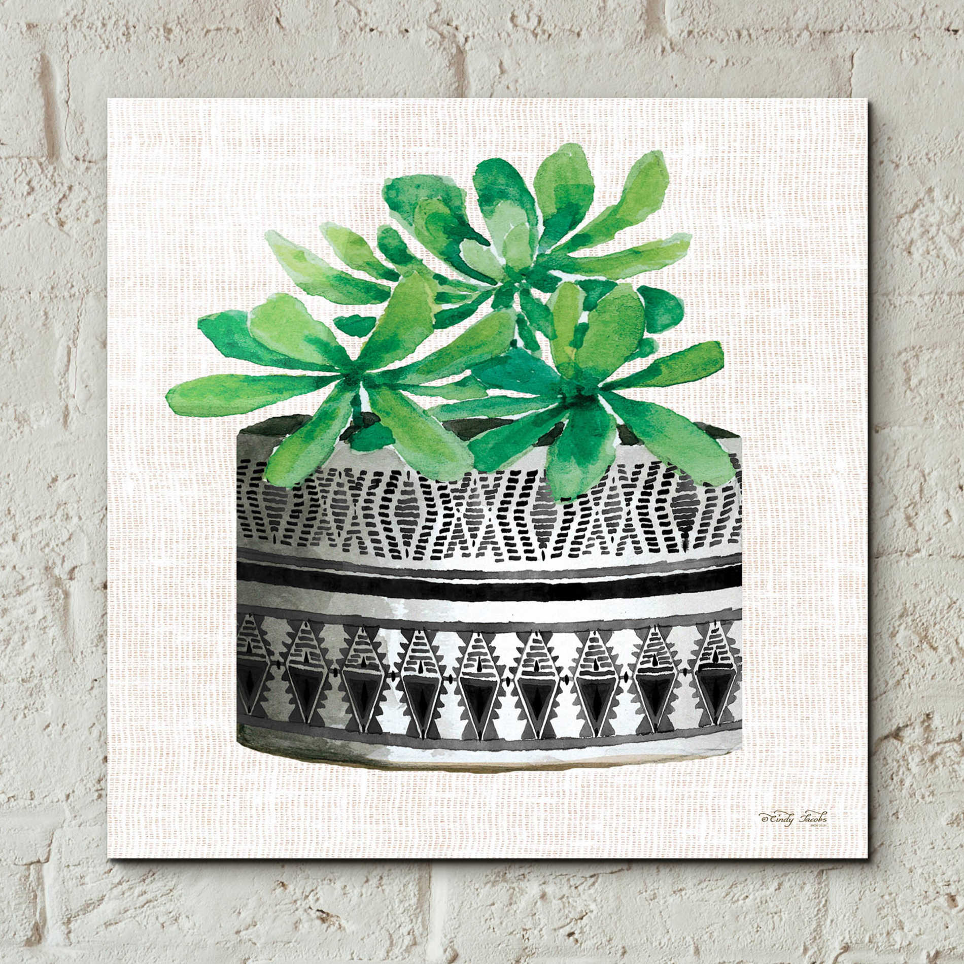 Epic Art 'Cactus Mud Cloth Vase II' by Cindy Jacobs, Acrylic Glass Wall Art,12x12