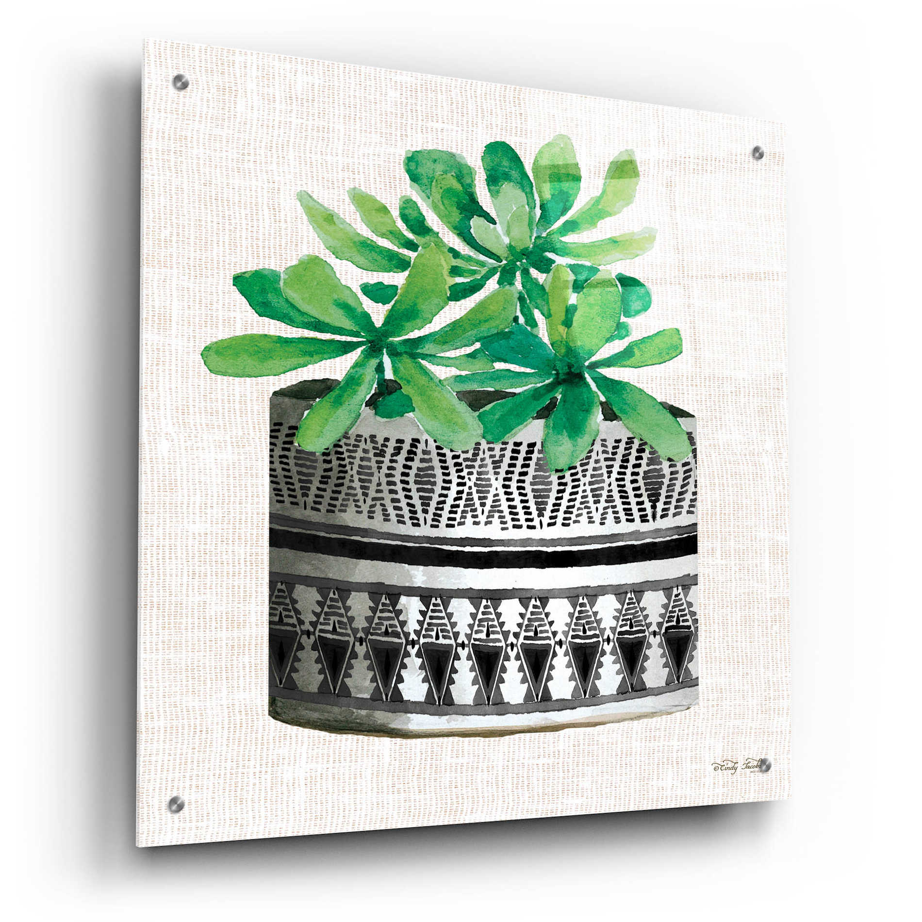 Epic Art 'Cactus Mud Cloth Vase II' by Cindy Jacobs, Acrylic Glass Wall Art,24x24