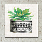 Epic Art 'Cactus Mud Cloth Vase IV' by Cindy Jacobs, Acrylic Glass Wall Art,12x12