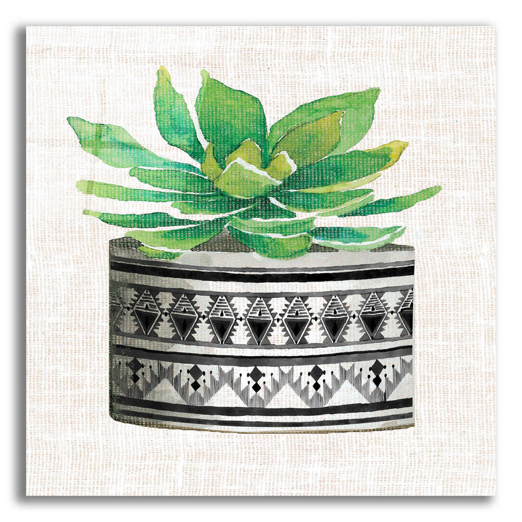 Epic Art 'Cactus Mud Cloth Vase IV' by Cindy Jacobs, Acrylic Glass Wall Art
