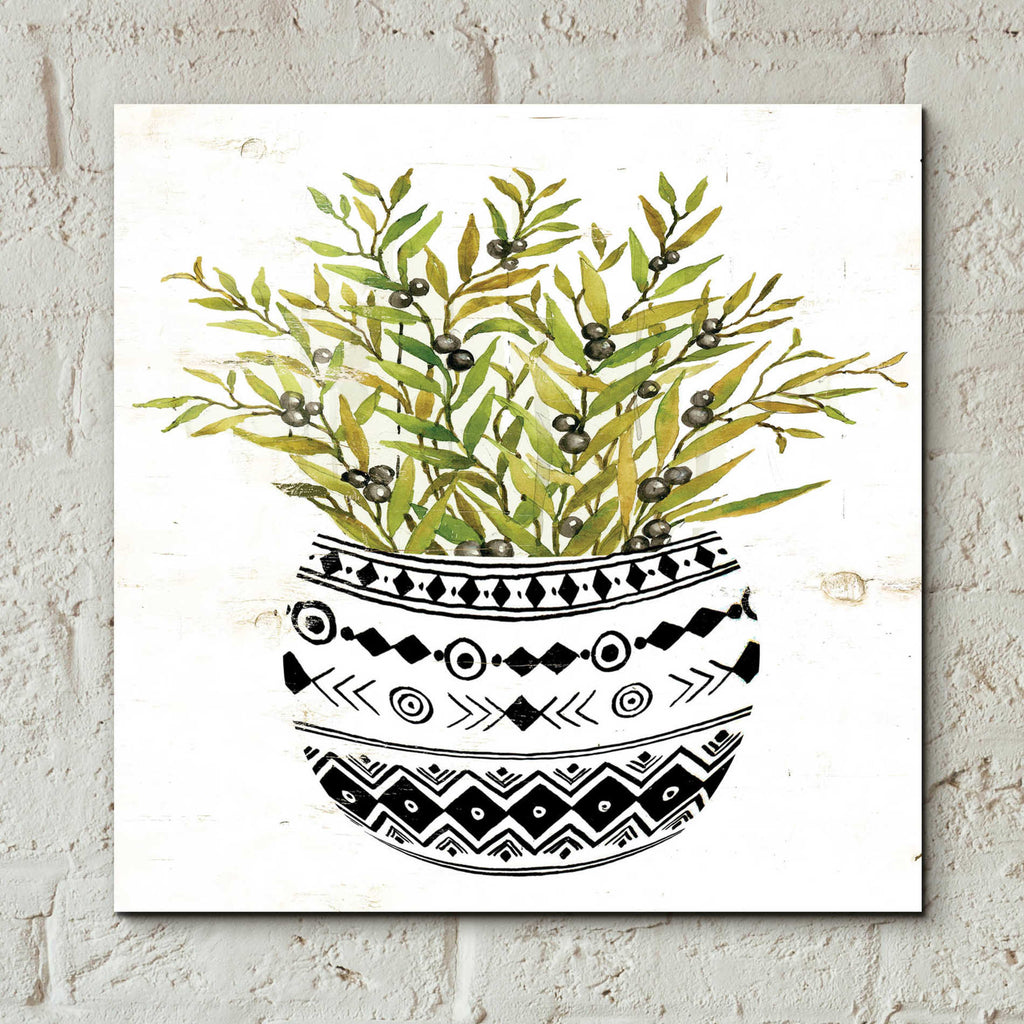 Epic Art 'Mud Cloth Succulent I' by Cindy Jacobs, Acrylic Glass Wall Art,12x12