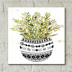 Epic Art 'Mud Cloth Succulent I' by Cindy Jacobs, Acrylic Glass Wall Art,12x12