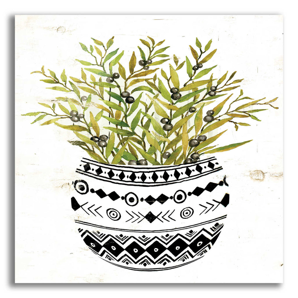 Epic Art 'Mud Cloth Succulent I' by Cindy Jacobs, Acrylic Glass Wall Art