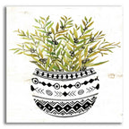 Epic Art 'Mud Cloth Succulent I' by Cindy Jacobs, Acrylic Glass Wall Art
