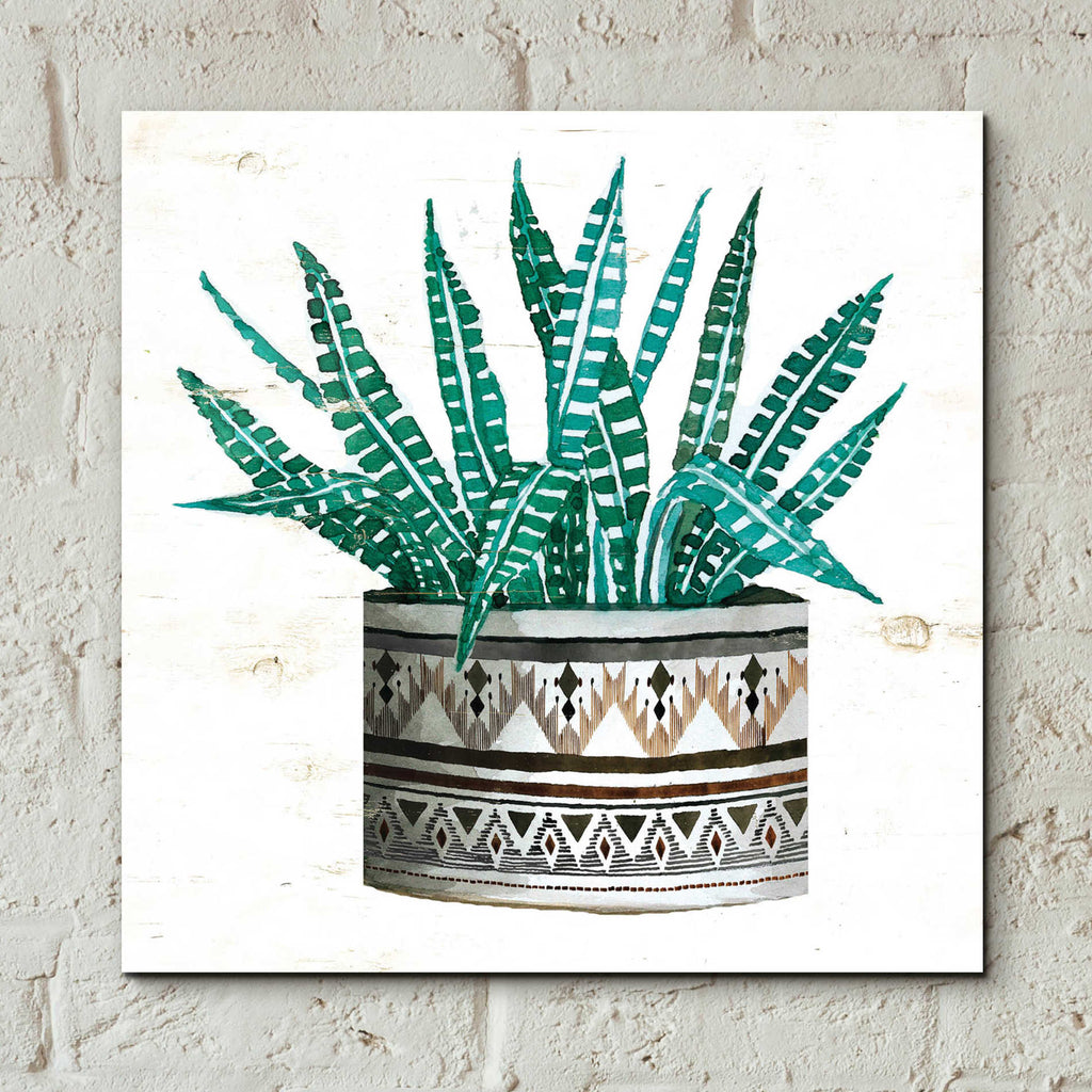 Epic Art 'Mud Cloth Succulent II' by Cindy Jacobs, Acrylic Glass Wall Art,12x12