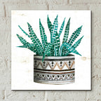 Epic Art 'Mud Cloth Succulent II' by Cindy Jacobs, Acrylic Glass Wall Art,12x12