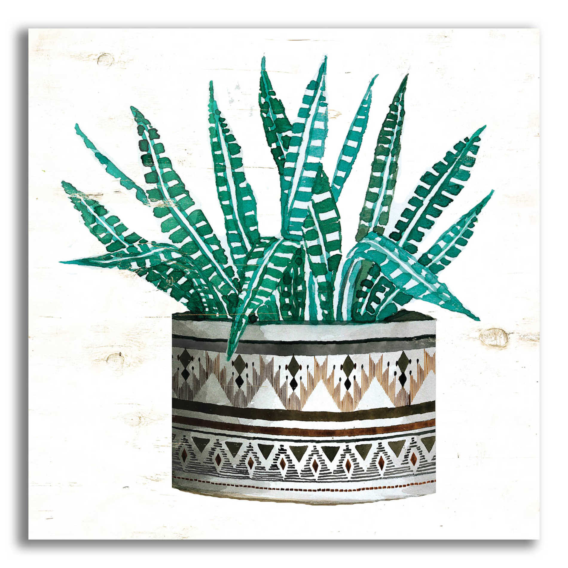 Epic Art 'Mud Cloth Succulent II' by Cindy Jacobs, Acrylic Glass Wall Art