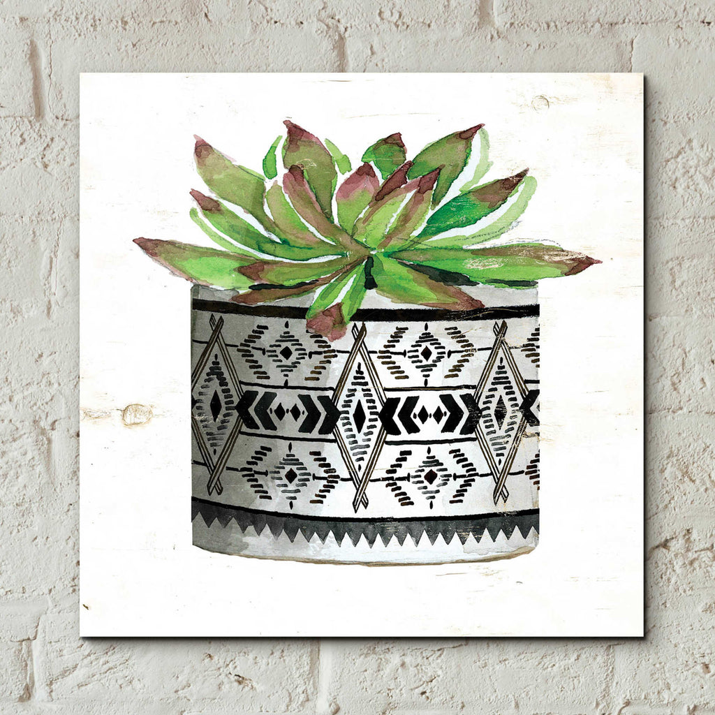 Epic Art 'Mud Cloth Succulent III' by Cindy Jacobs, Acrylic Glass Wall Art,12x12