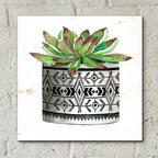 Epic Art 'Mud Cloth Succulent III' by Cindy Jacobs, Acrylic Glass Wall Art,12x12