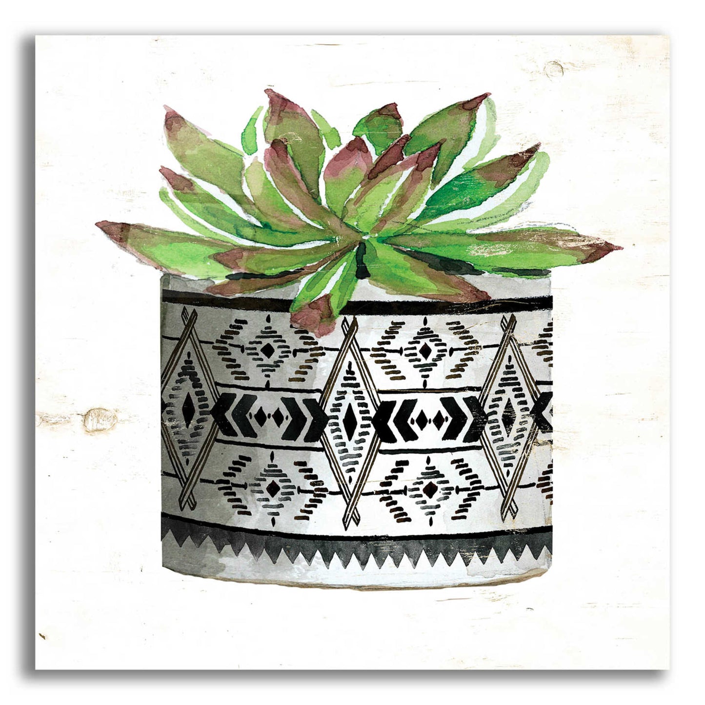 Epic Art 'Mud Cloth Succulent III' by Cindy Jacobs, Acrylic Glass Wall Art