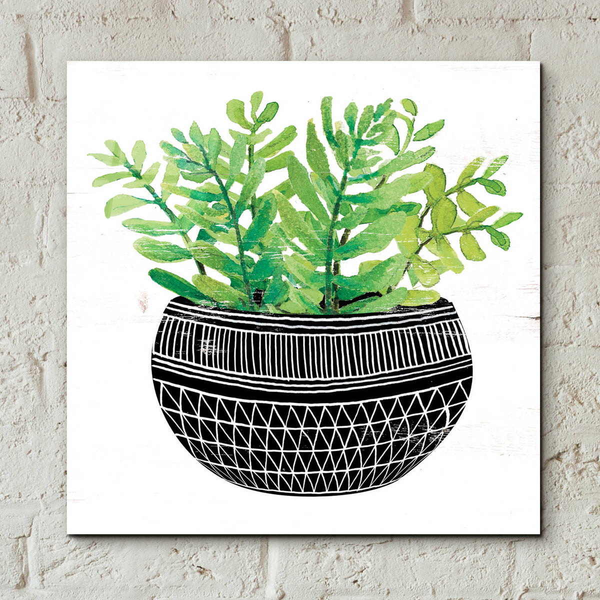 Epic Art 'Mud Cloth Succulent V' by Cindy Jacobs, Acrylic Glass Wall Art,12x12
