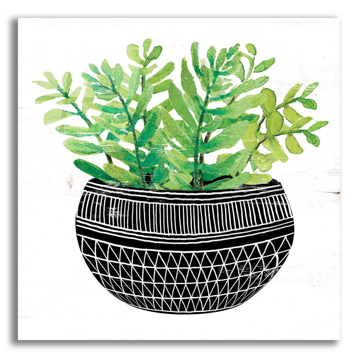 Epic Art 'Mud Cloth Succulent V' by Cindy Jacobs, Acrylic Glass Wall Art