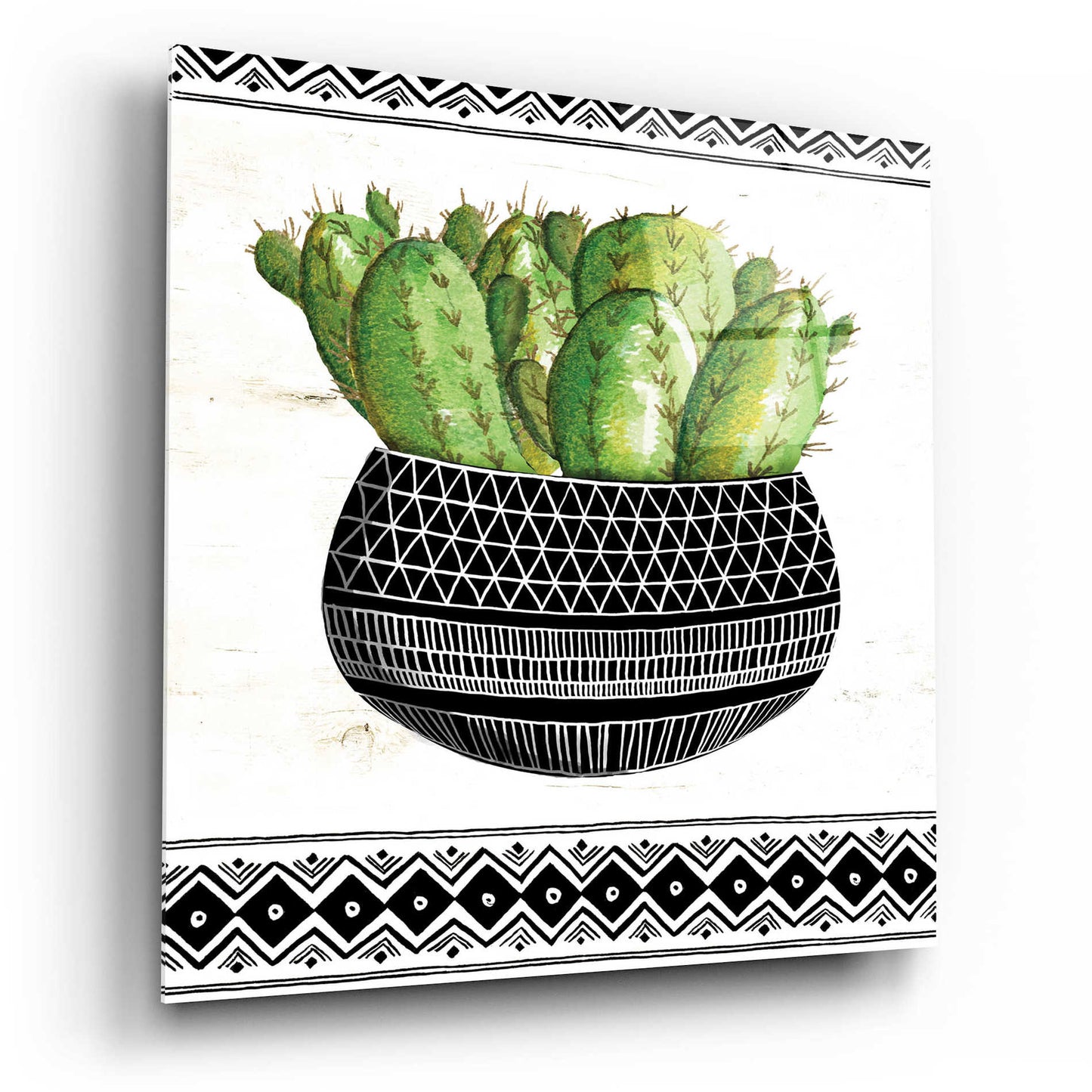 Epic Art 'Mud Cloth Black and White Succulent I' by Cindy Jacobs, Acrylic Glass Wall Art,12x12