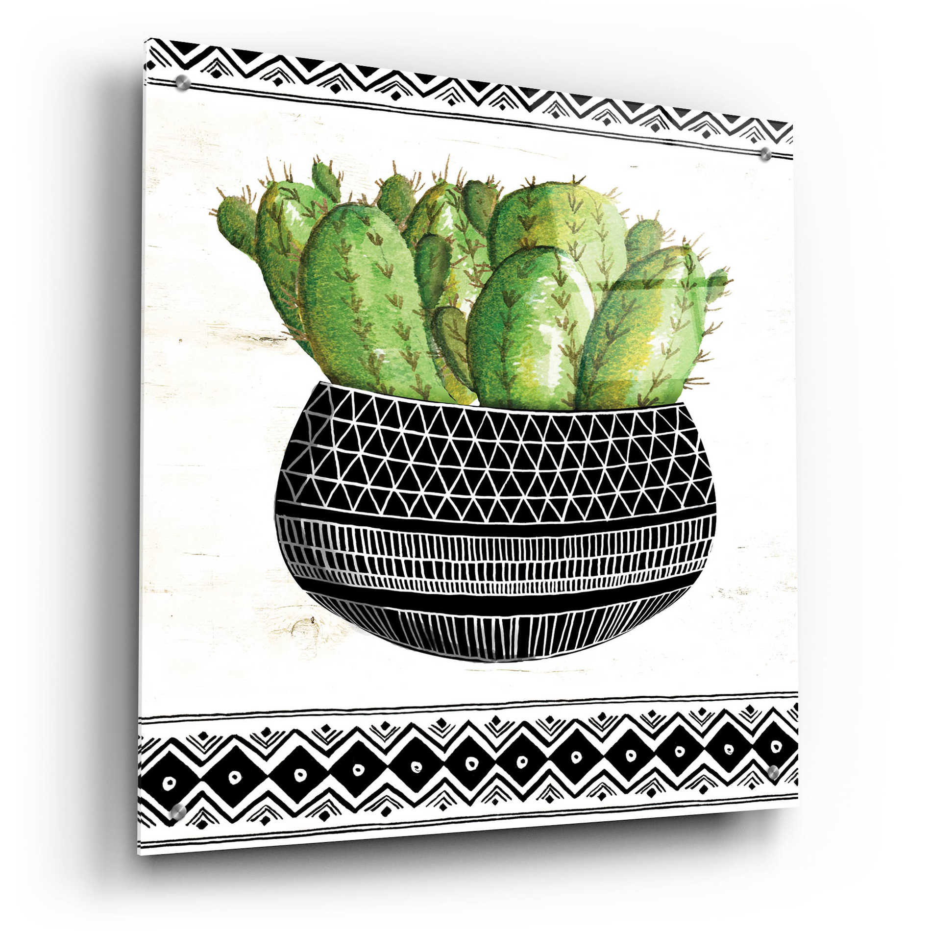 Epic Art 'Mud Cloth Black and White Succulent I' by Cindy Jacobs, Acrylic Glass Wall Art,24x24