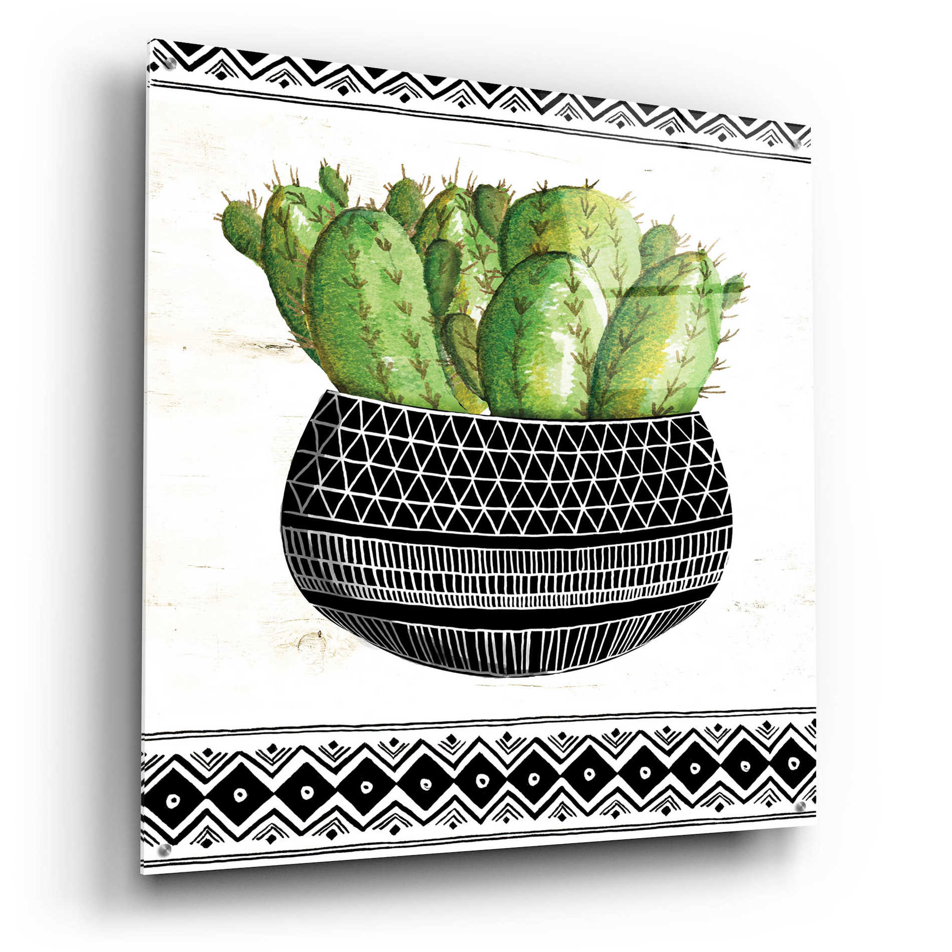 Epic Art 'Mud Cloth Black and White Succulent I' by Cindy Jacobs, Acrylic Glass Wall Art,36x36