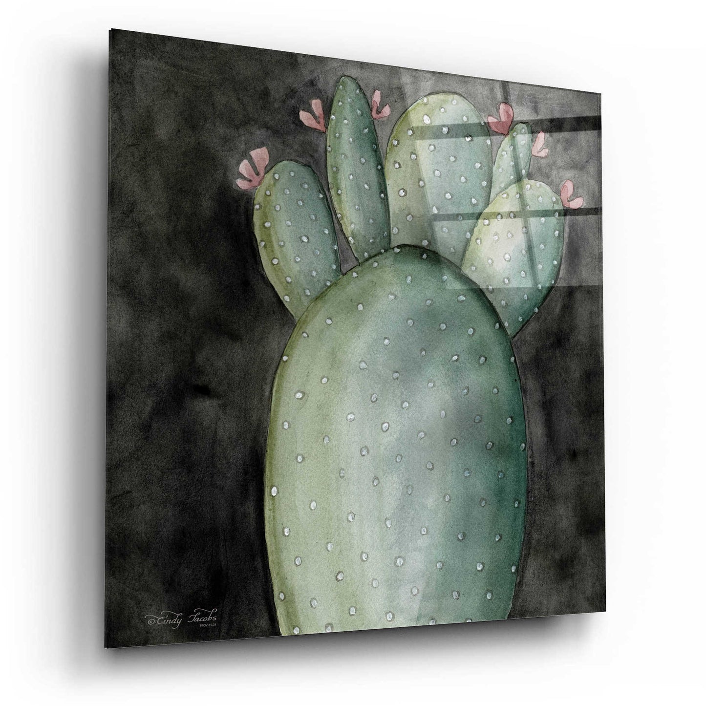 Epic Art 'Big Blooming Cactus I' by Cindy Jacobs, Acrylic Glass Wall Art,12x12