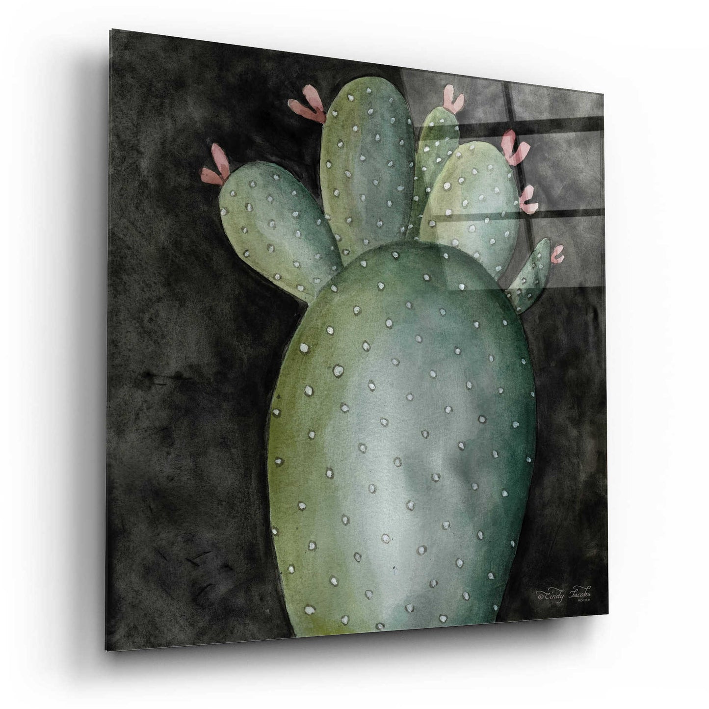 Epic Art 'Big Blooming Cactus II' by Cindy Jacobs, Acrylic Glass Wall Art,12x12