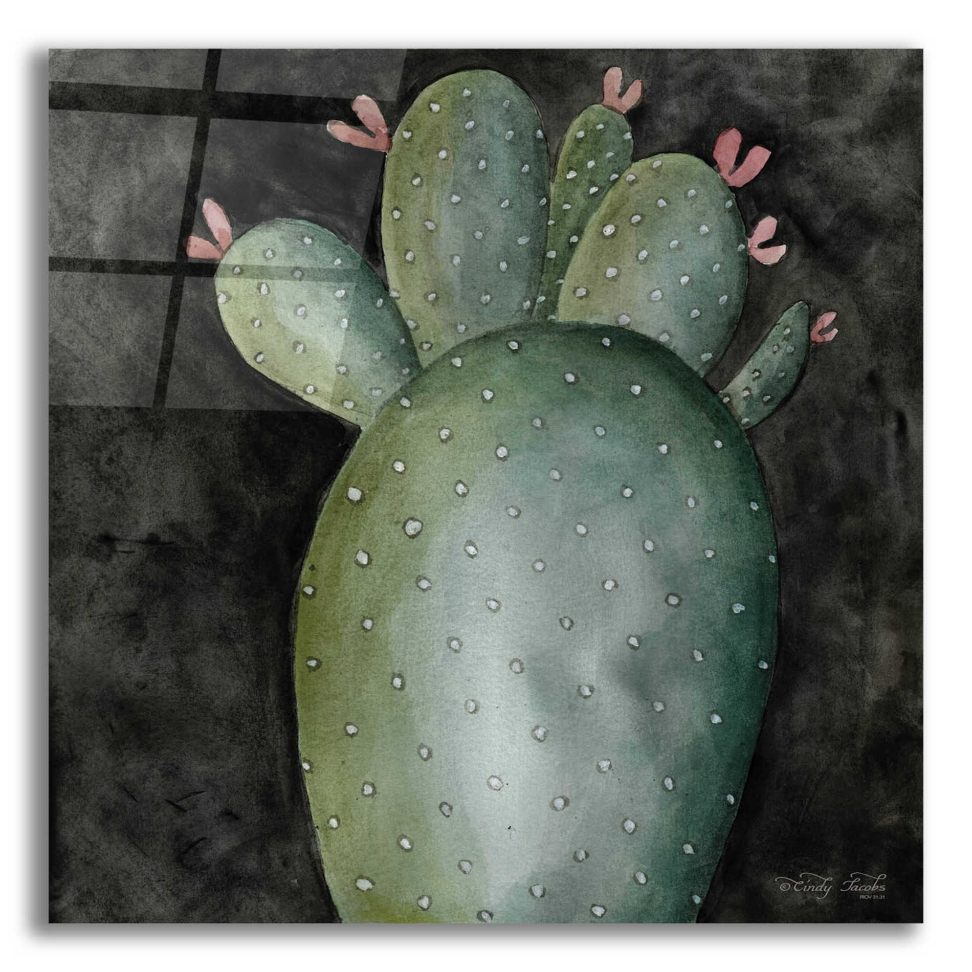 Epic Art 'Big Blooming Cactus II' by Cindy Jacobs, Acrylic Glass Wall Art,12x12