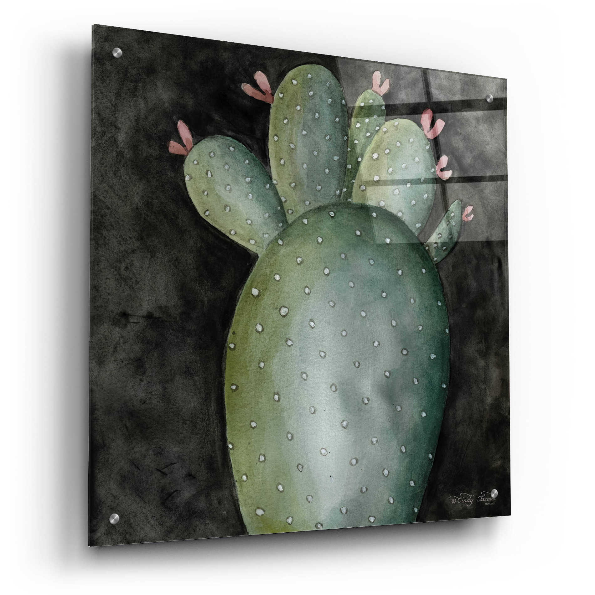 Epic Art 'Big Blooming Cactus II' by Cindy Jacobs, Acrylic Glass Wall Art,24x24