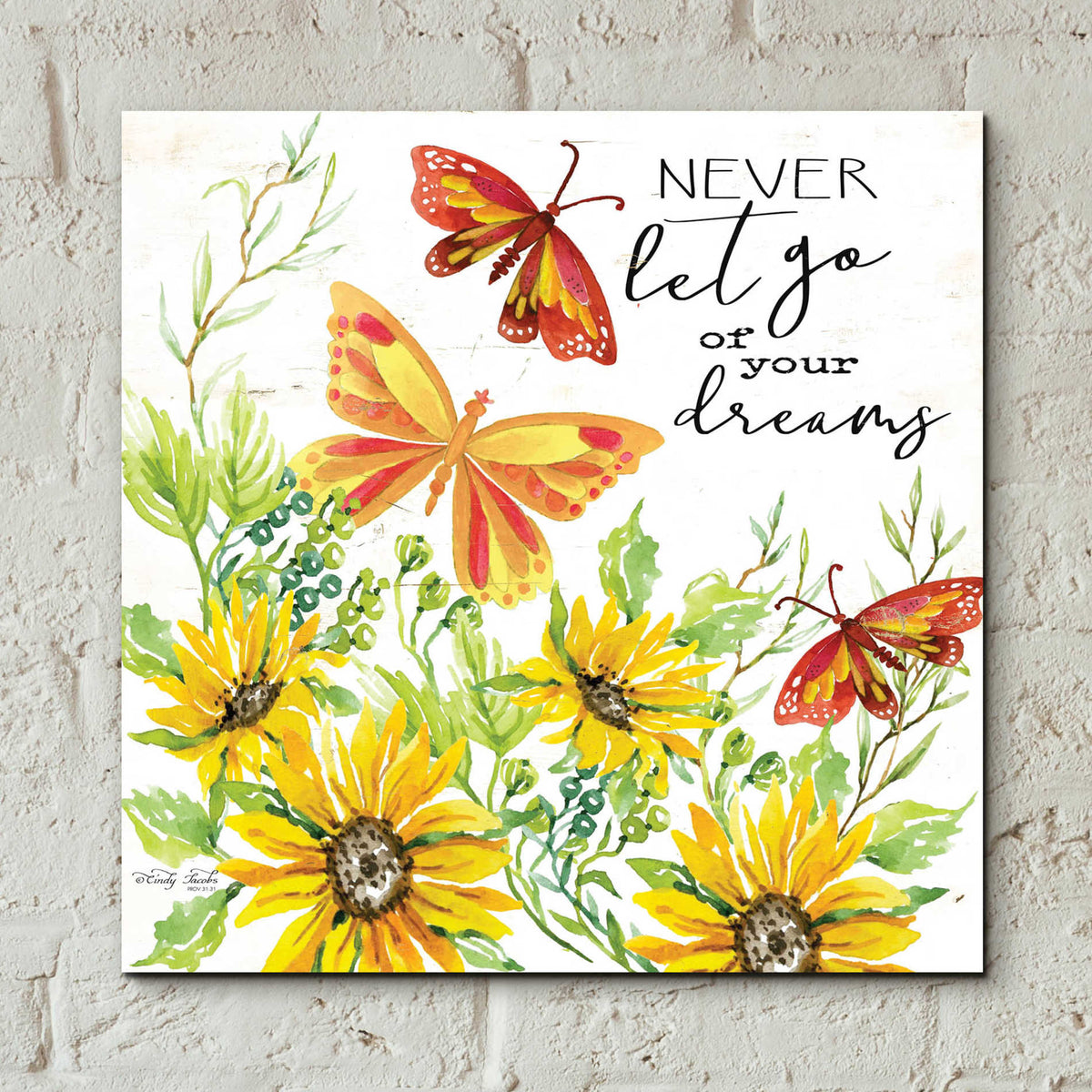 Epic Art 'Never Let Go of your Dreams' by Cindy Jacobs, Acrylic Glass Wall Art,12x12