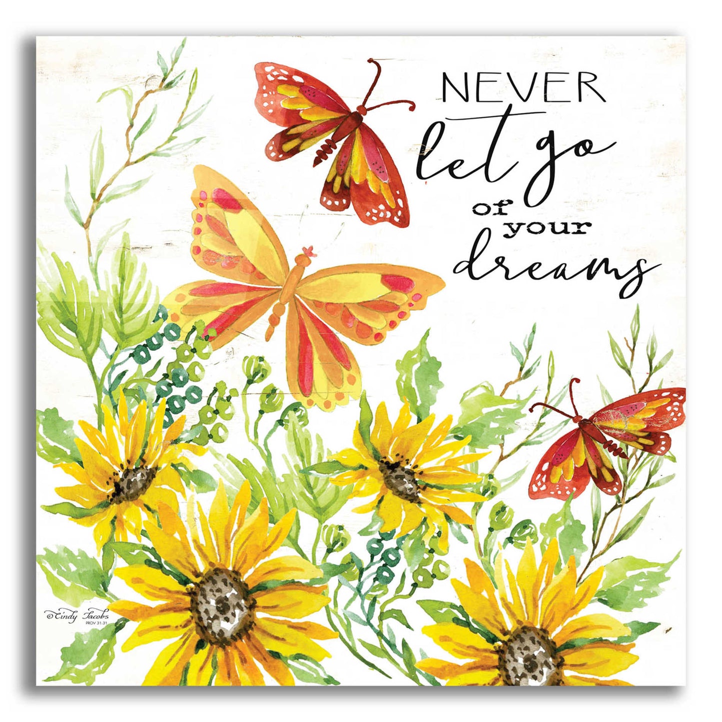 Epic Art 'Never Let Go of your Dreams' by Cindy Jacobs, Acrylic Glass Wall Art,12x12