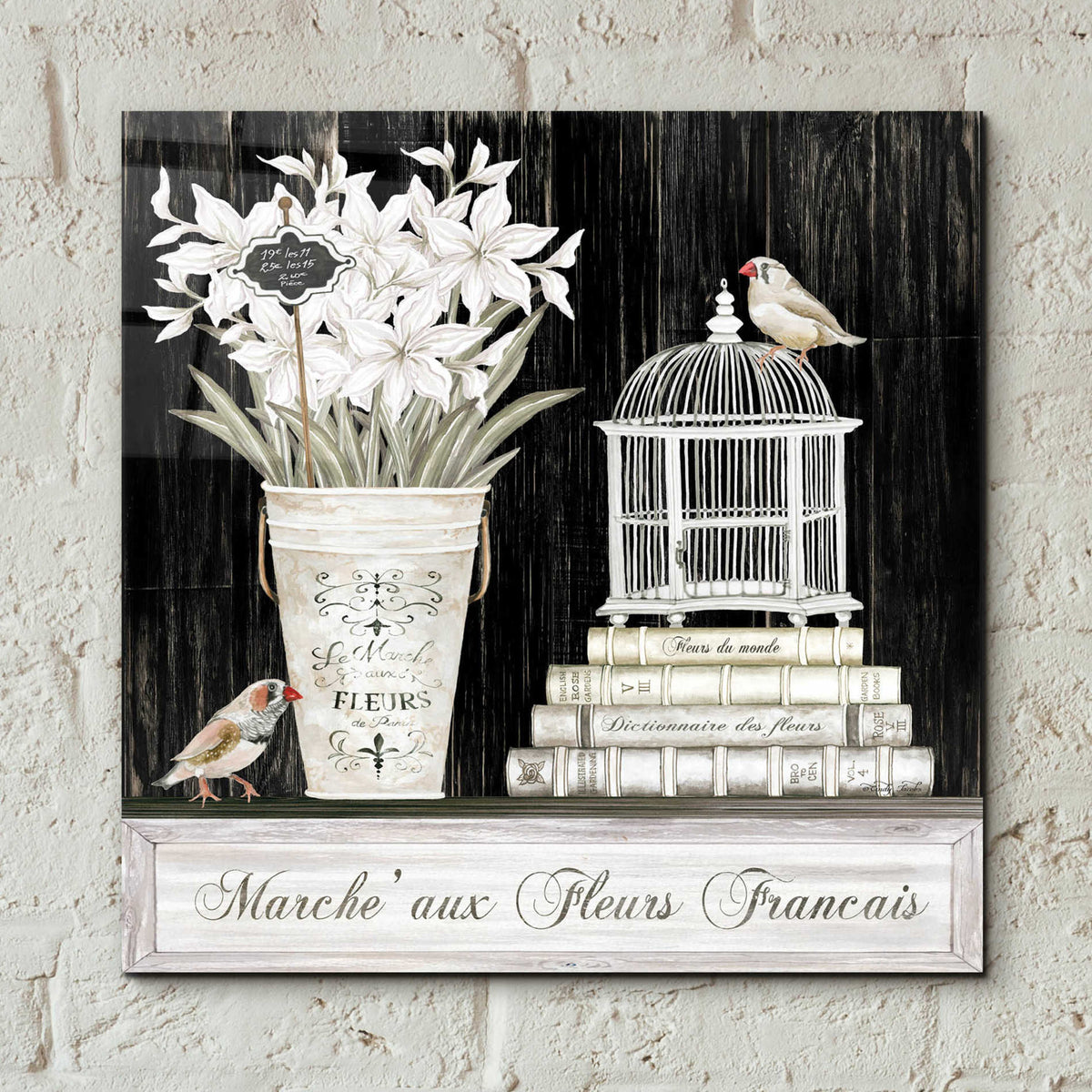 Epic Art 'Amaryllis Still Life' by Cindy Jacobs, Acrylic Glass Wall Art,12x12