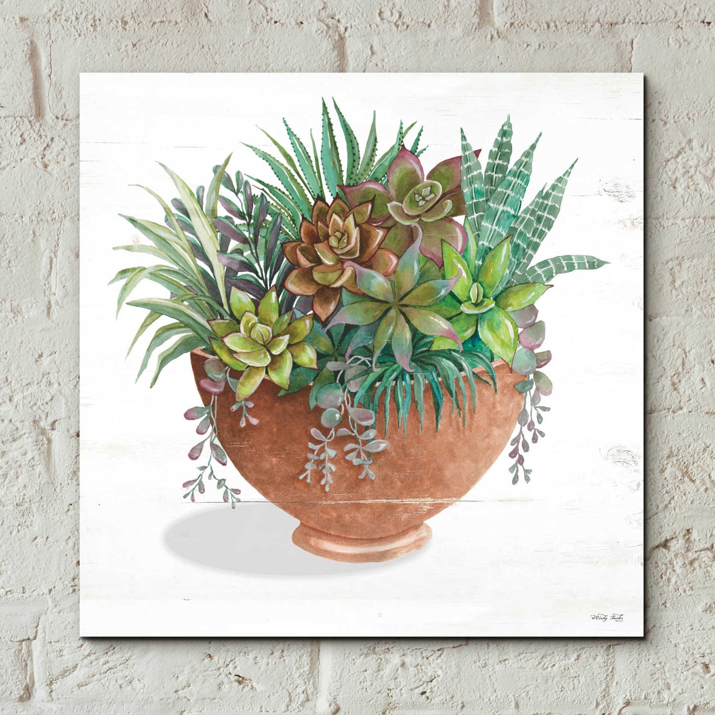 Epic Art 'Terracotta Succulents II' by Cindy Jacobs, Acrylic Glass Wall Art,12x12