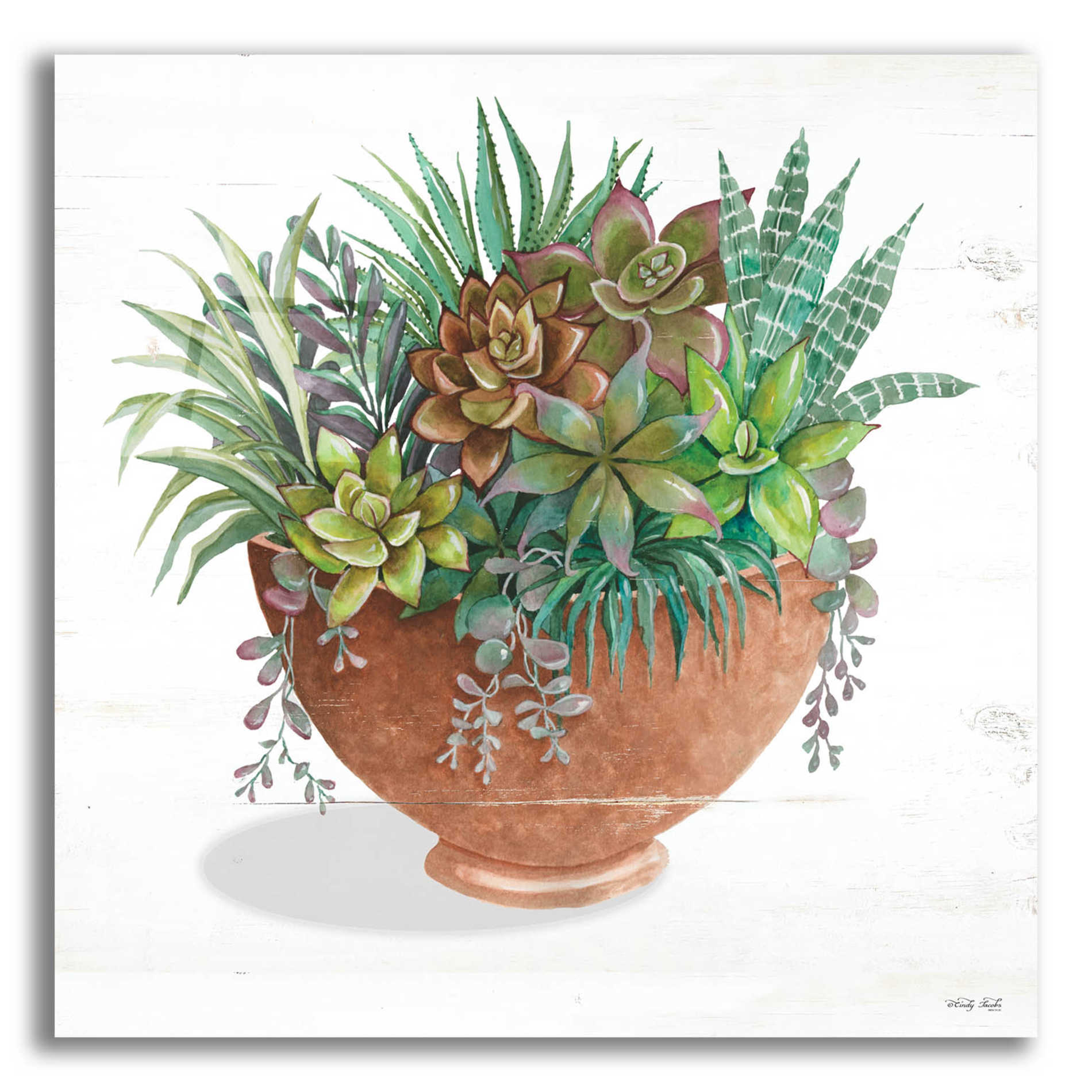 acrylic succulents Great Art Now Terracotta Succulents II by Cindy Jacobs, Canvas Wall Art, 12W x 12H