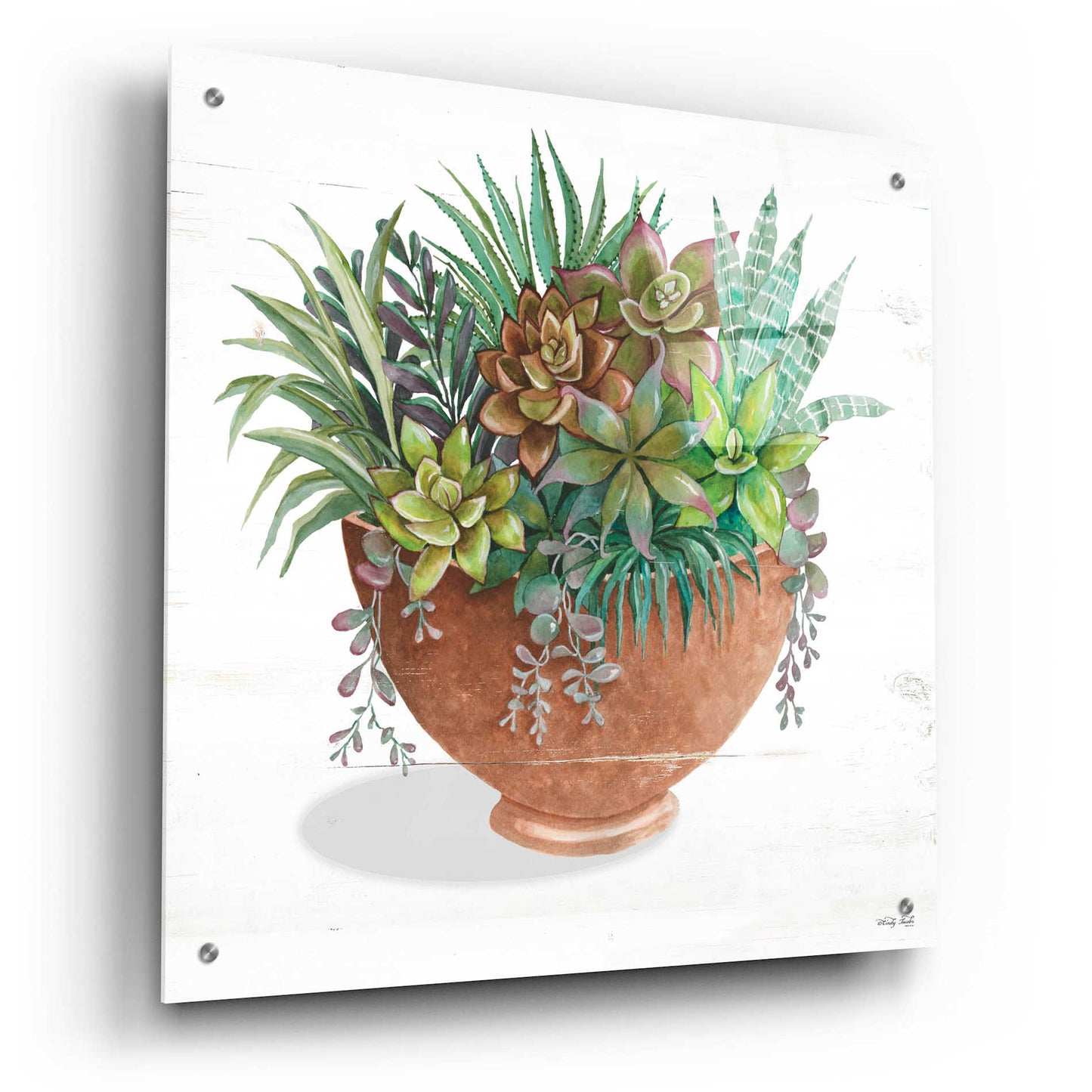 Epic Art 'Terracotta Succulents II' by Cindy Jacobs, Acrylic Glass Wall Art,24x24