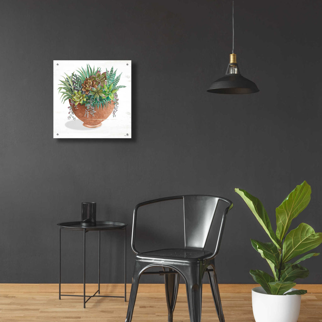 Epic Art 'Terracotta Succulents II' by Cindy Jacobs, Acrylic Glass Wall Art,24x24
