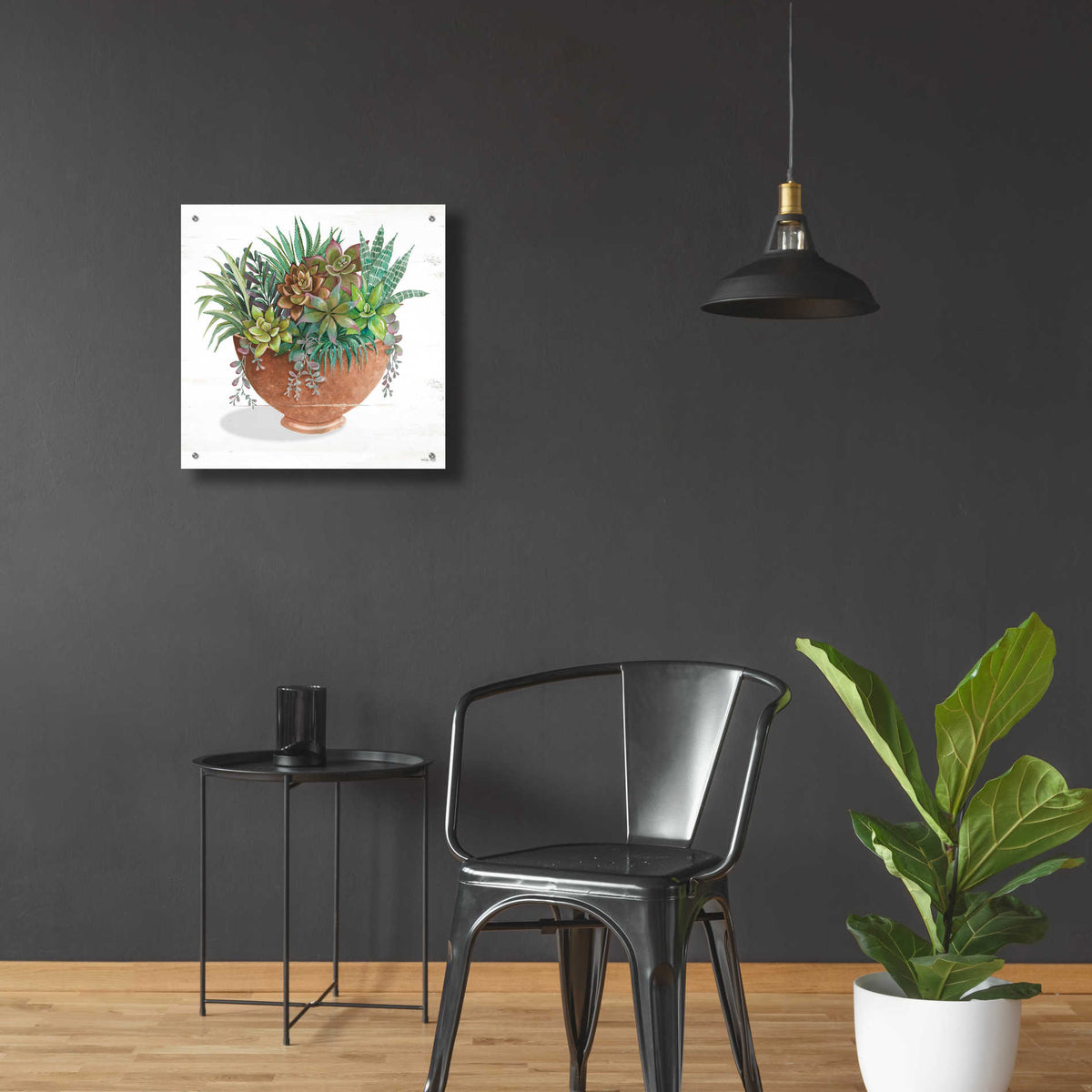 Epic Art 'Terracotta Succulents II' by Cindy Jacobs, Acrylic Glass Wall Art,24x24