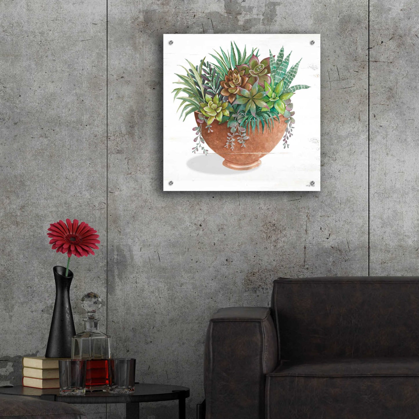Epic Art 'Terracotta Succulents II' by Cindy Jacobs, Acrylic Glass Wall Art,24x24