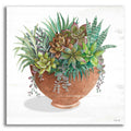 Epic Art 'Terracotta Succulents II' by Cindy Jacobs, Acrylic Glass Wall Art