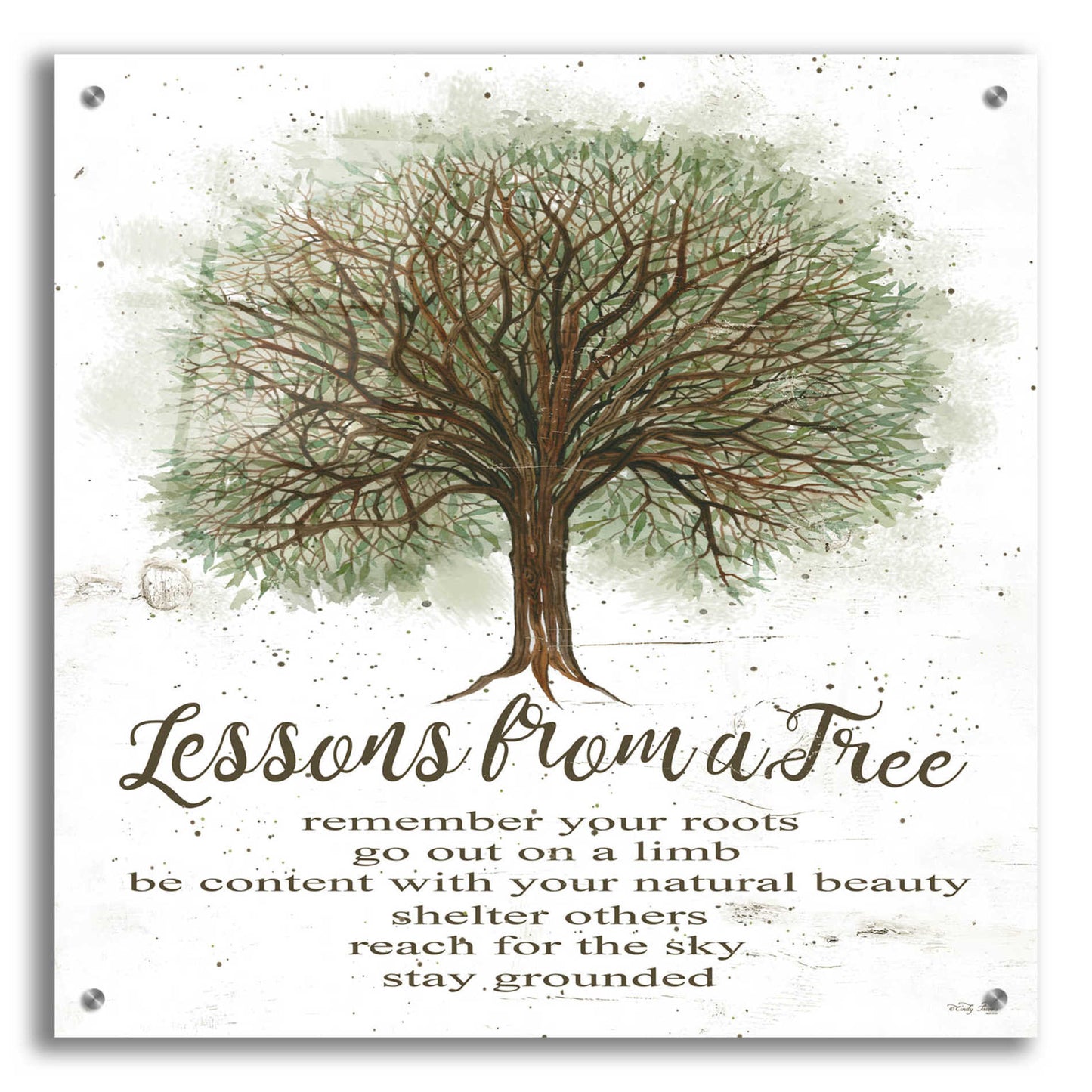 Epic Art 'Lessons From a Tree' by Cindy Jacobs, Acrylic Glass Wall Art,24x24