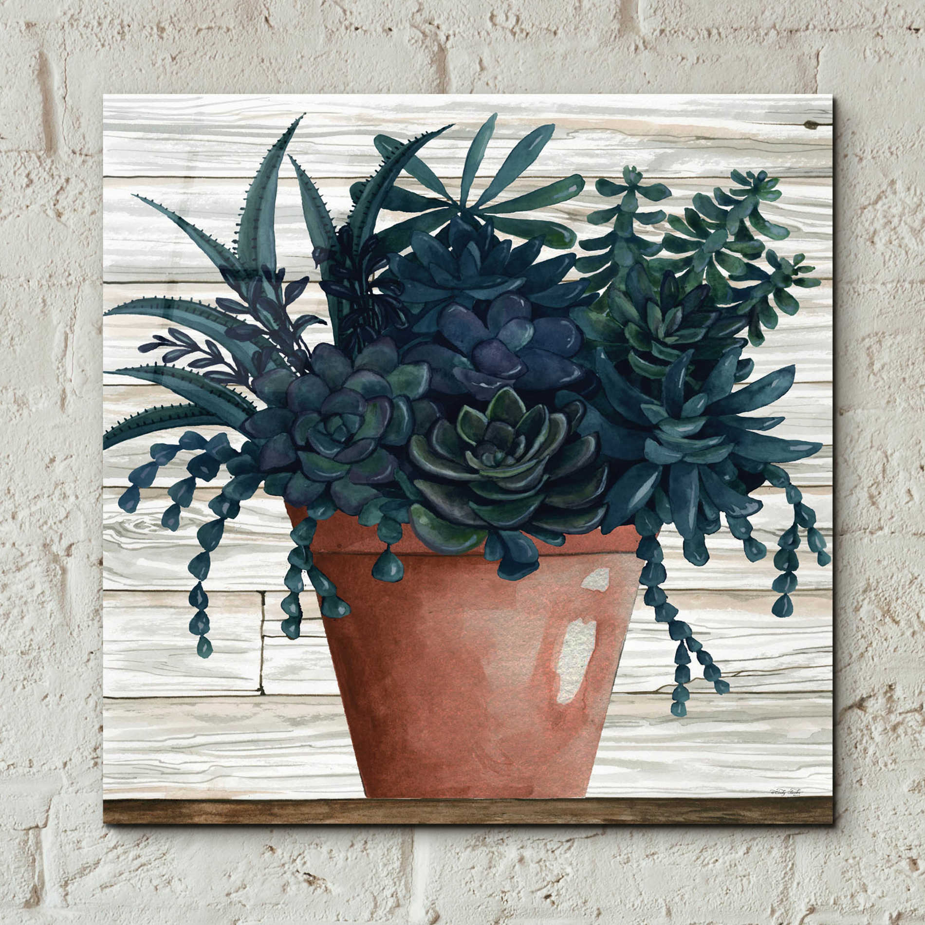 Epic Art 'Remarkable Succulents III' by Cindy Jacobs, Acrylic Glass Wall Art,12x12