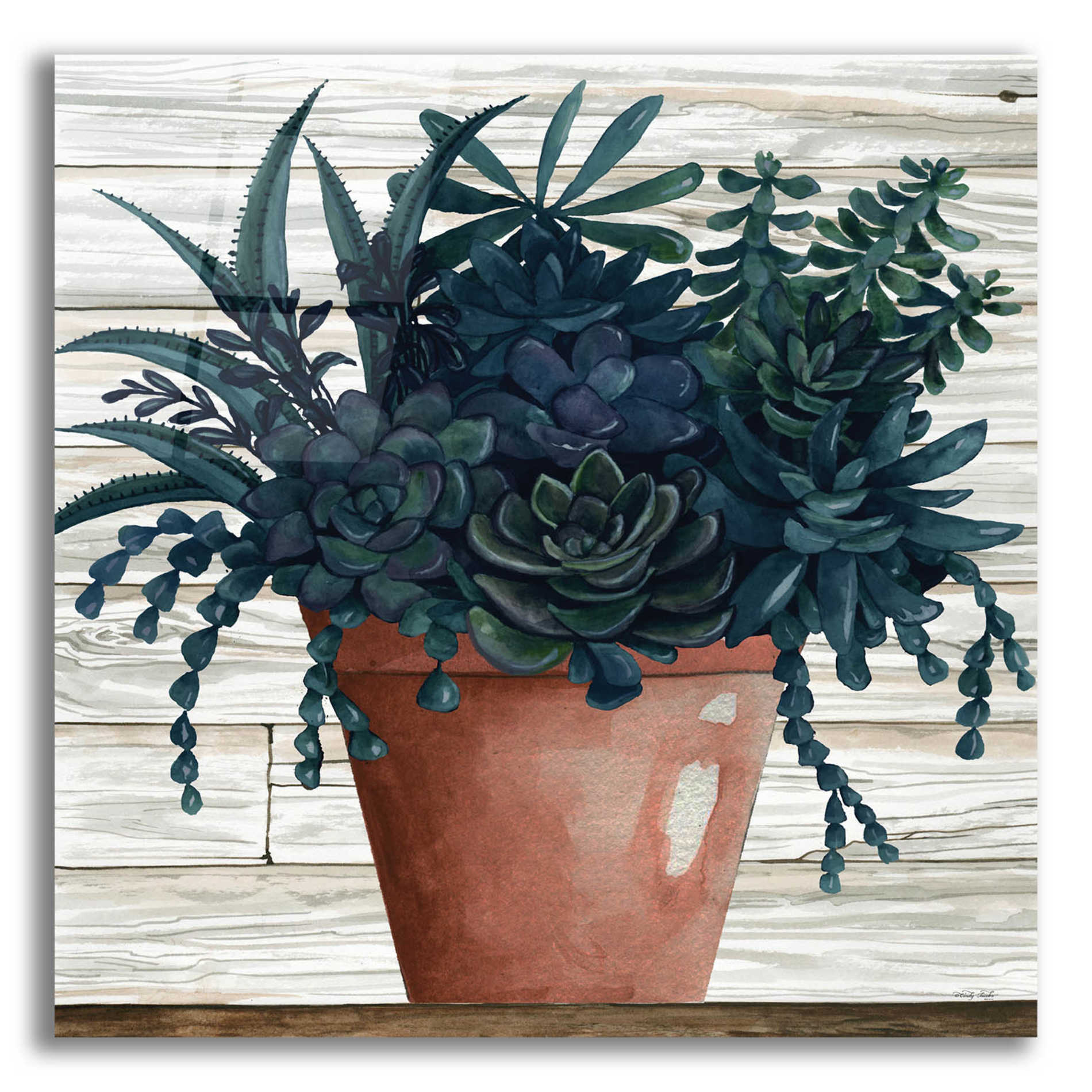 acrylic succulents Epic Art 'Remarkable Succulents III' by Cindy Jacobs, Acrylic Glass Wall Art