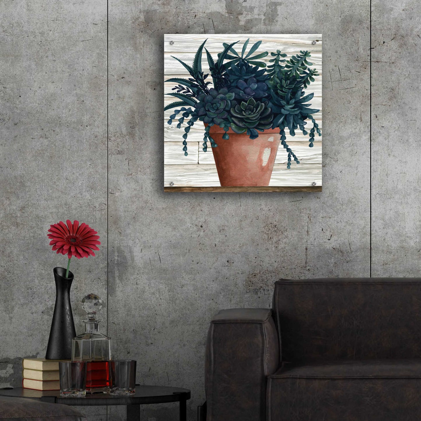 Epic Art 'Remarkable Succulents III' by Cindy Jacobs, Acrylic Glass Wall Art,24x24