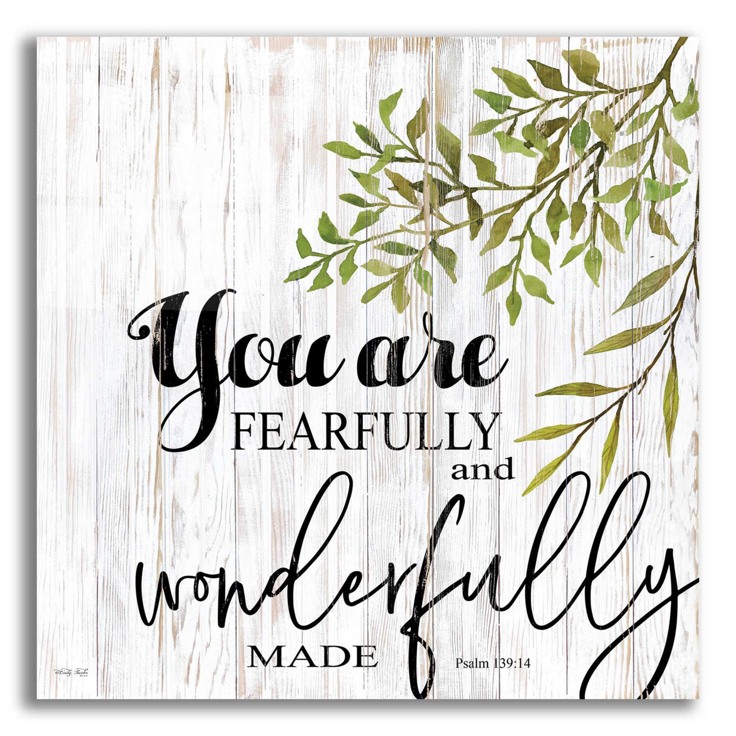 Epic Art 'You are Fearfully and Wonderfully Made' by Cindy Jacobs, Acrylic Glass Wall Art,12x12