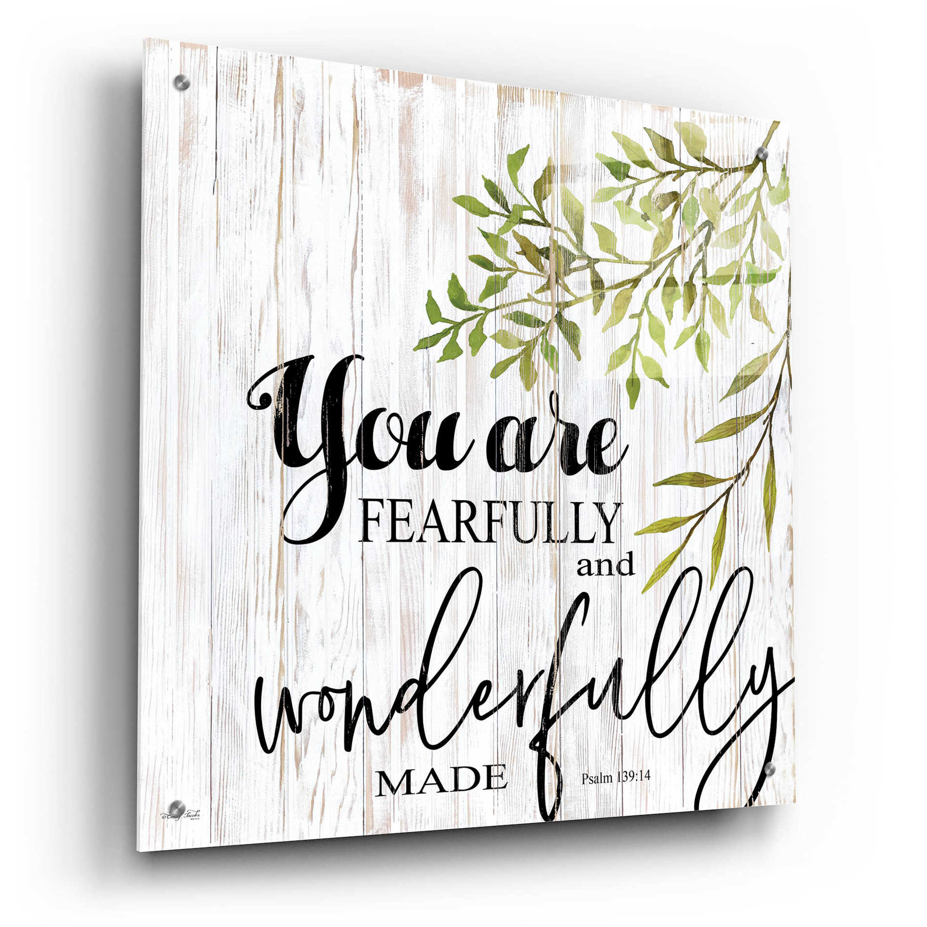 Epic Art 'You are Fearfully and Wonderfully Made' by Cindy Jacobs, Acrylic Glass Wall Art,24x24