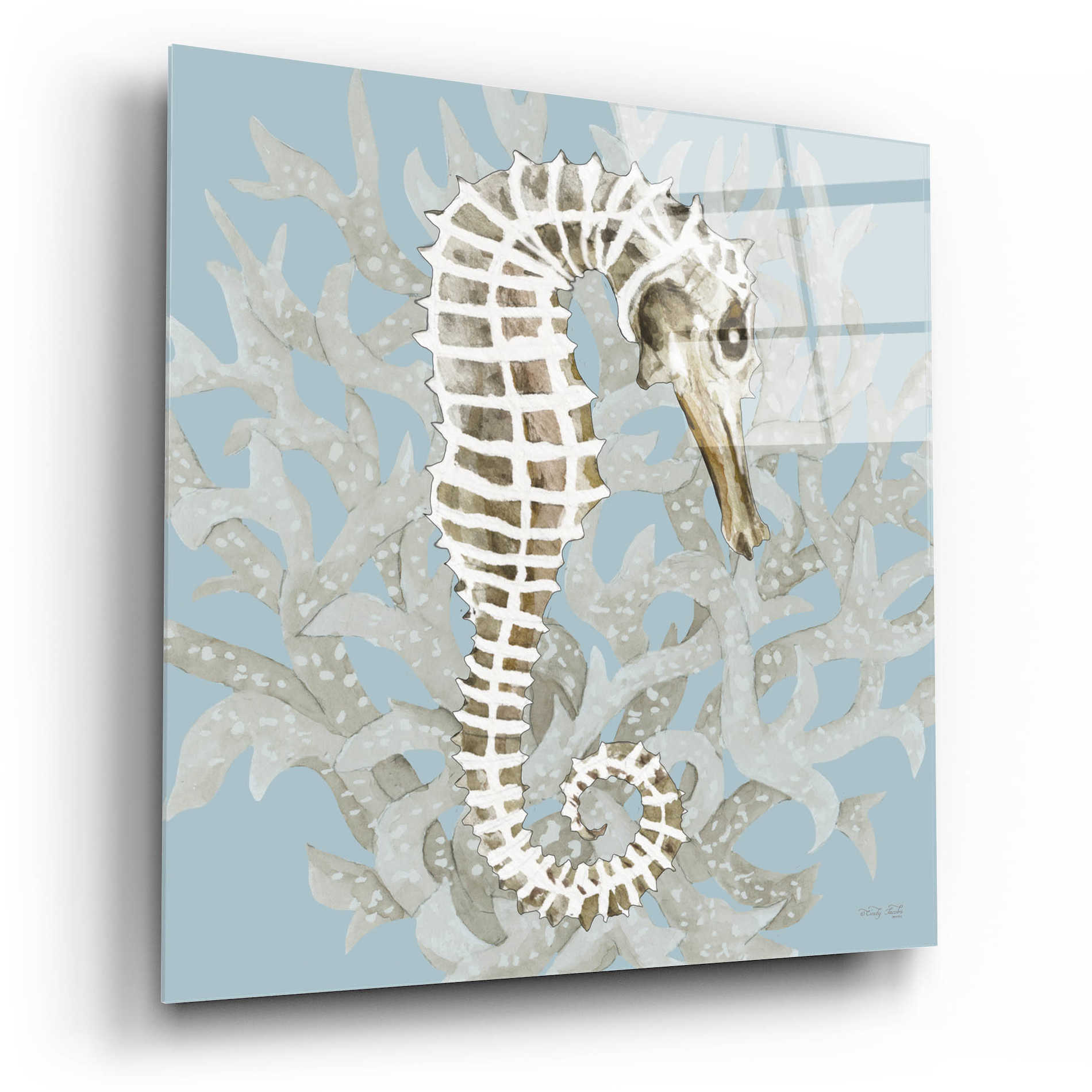 Epic Art 'Coral Seahorse I' by Cindy Jacobs, Acrylic Glass Wall Art,12x12