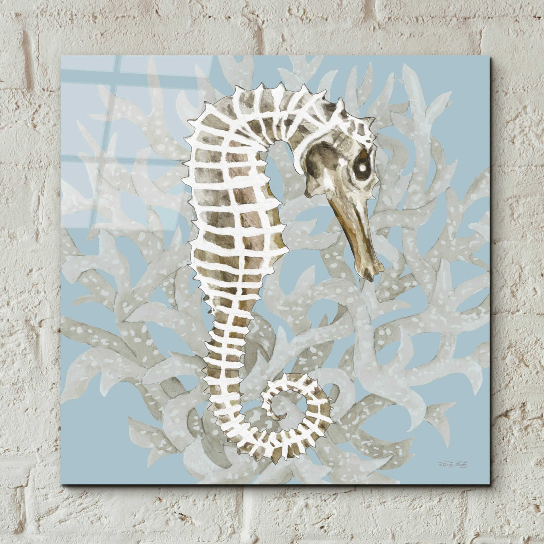 Epic Art 'Coral Seahorse I' by Cindy Jacobs, Acrylic Glass Wall Art,12x12