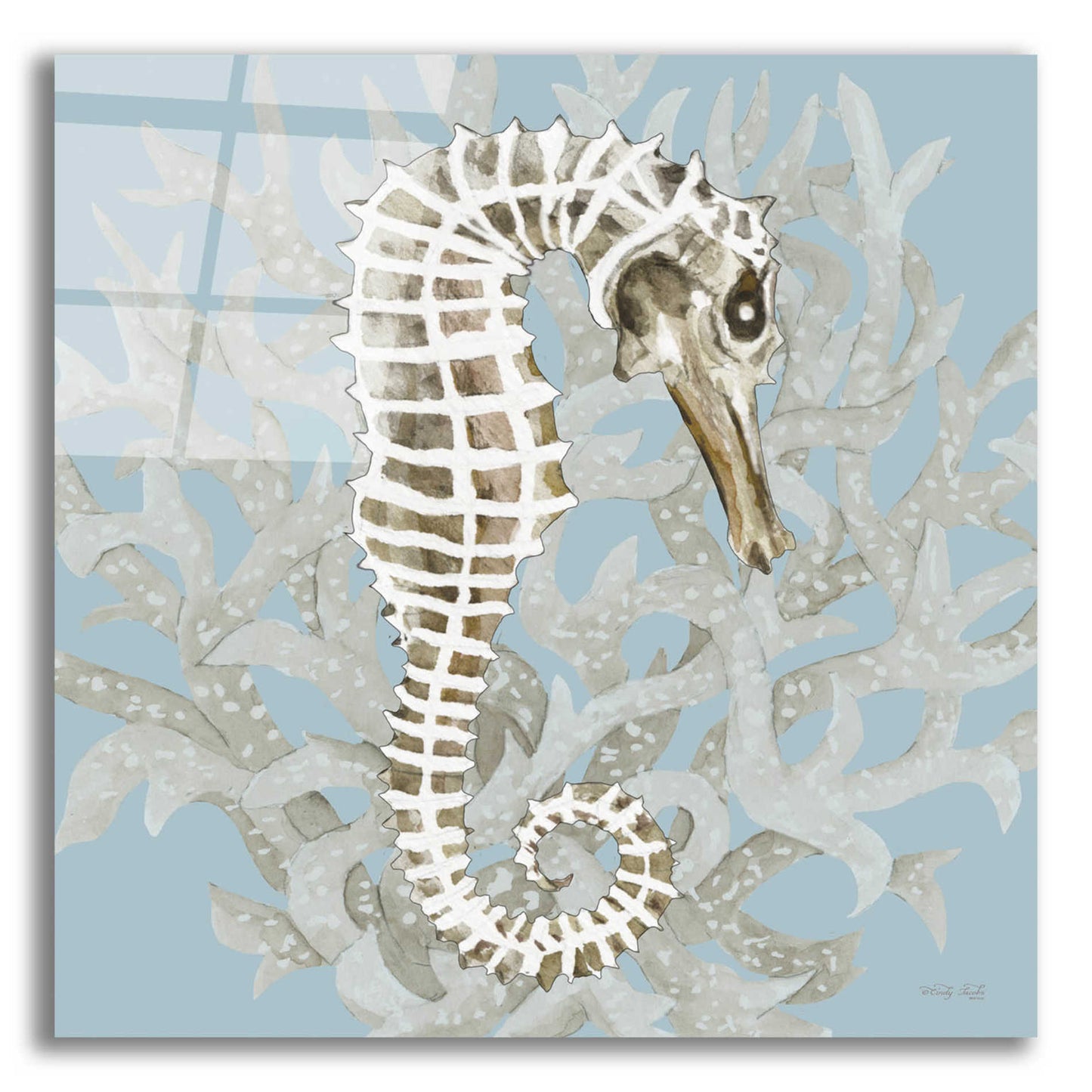 Epic Art 'Coral Seahorse I' by Cindy Jacobs, Acrylic Glass Wall Art,12x12