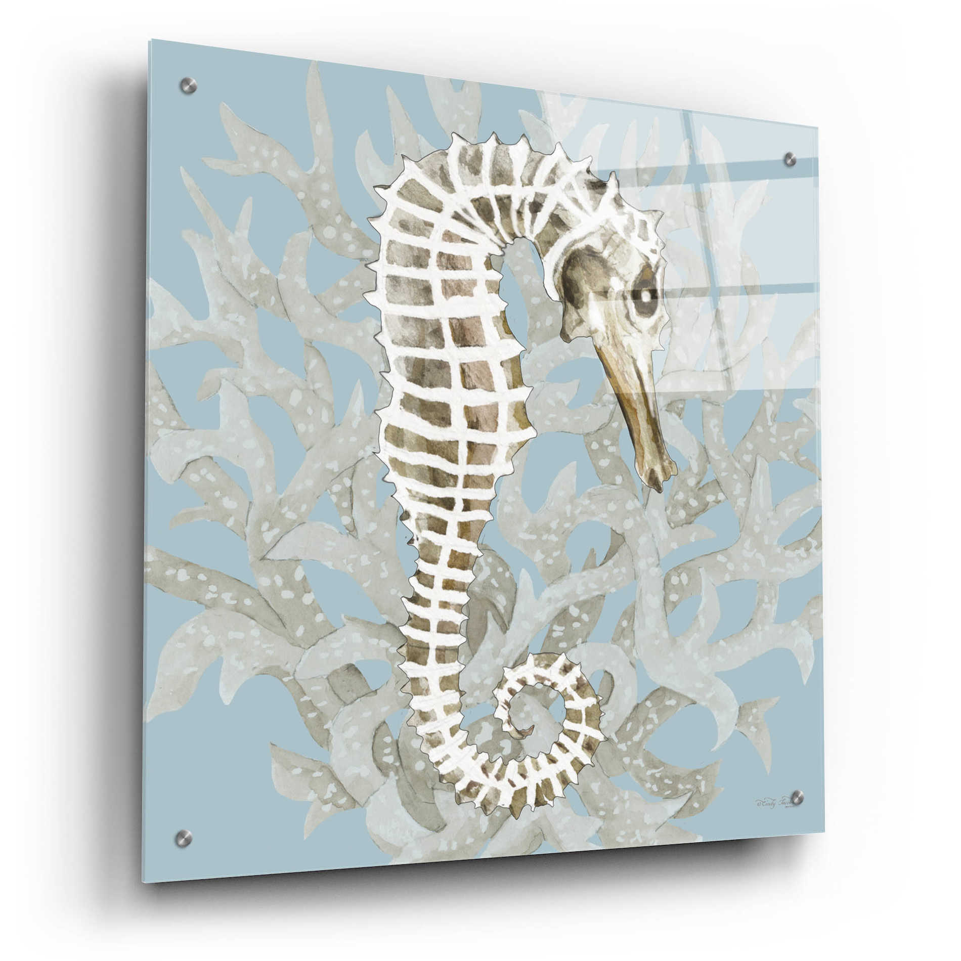 Epic Art 'Coral Seahorse I' by Cindy Jacobs, Acrylic Glass Wall Art,24x24