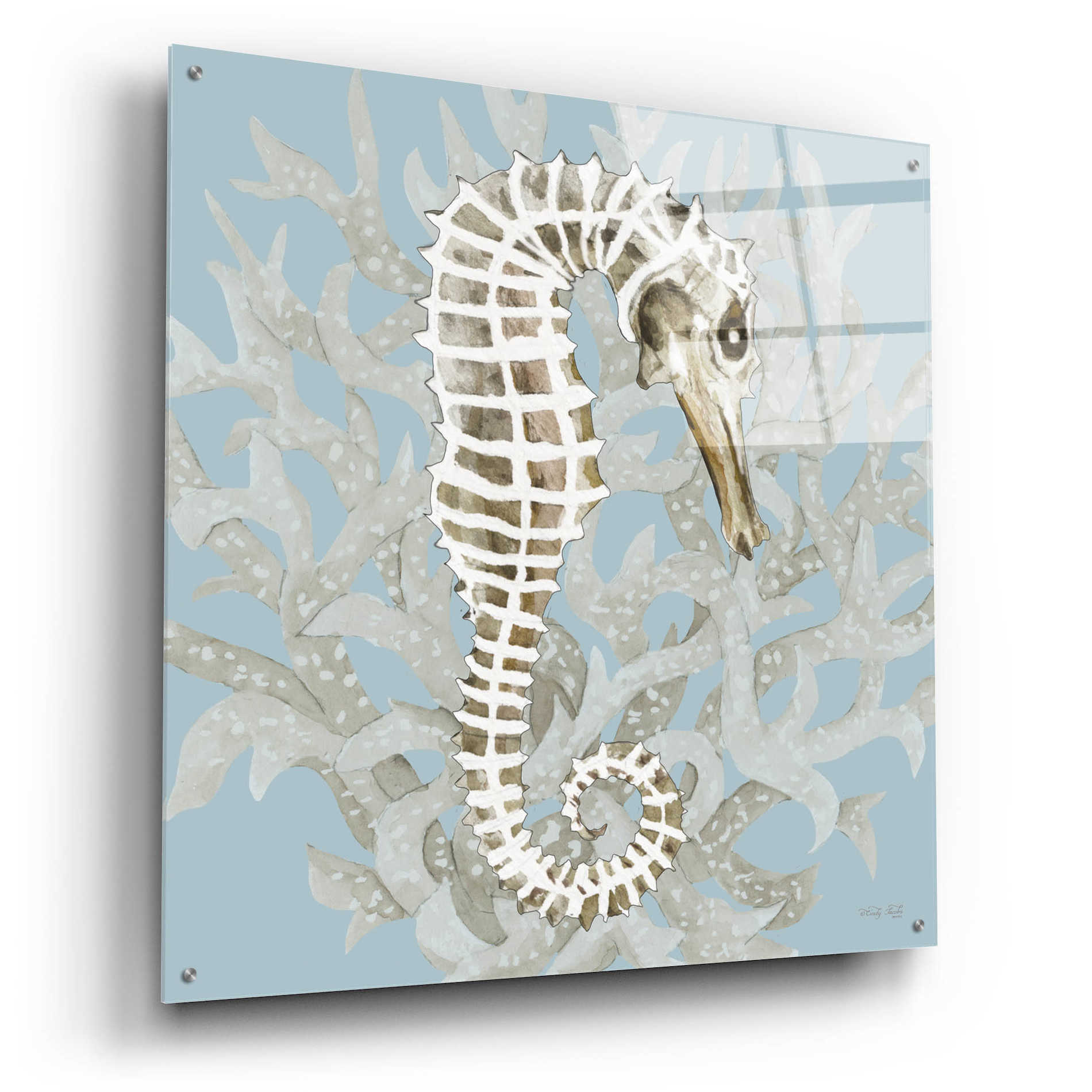 Epic Art 'Coral Seahorse I' by Cindy Jacobs, Acrylic Glass Wall Art,36x36