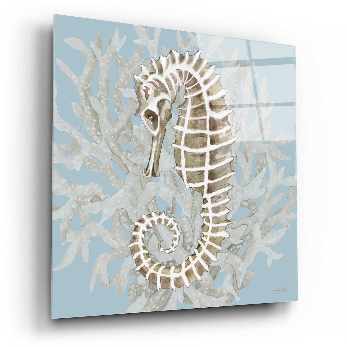 Epic Art 'Coral Seahorse II' by Cindy Jacobs, Acrylic Glass Wall Art,12x12