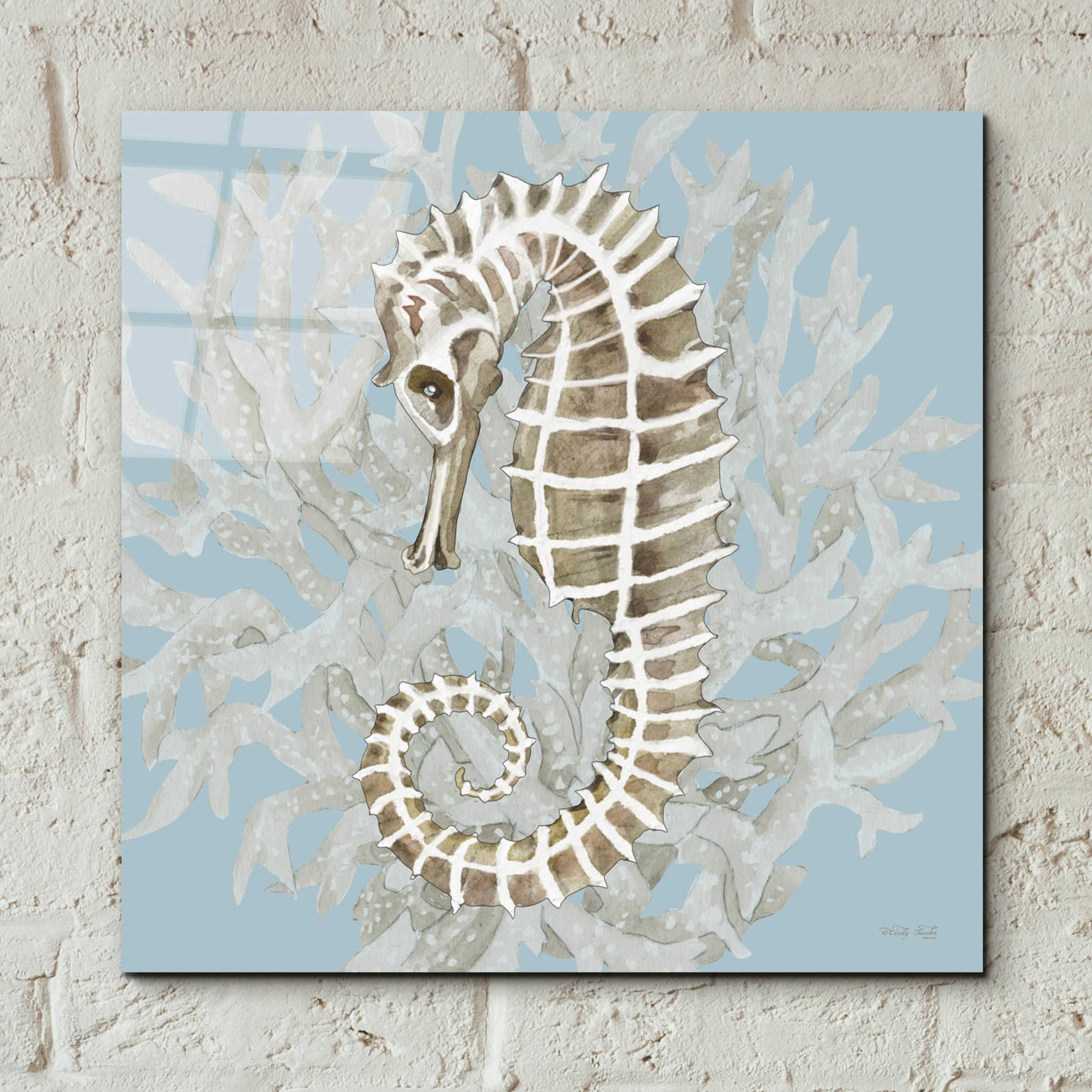 Epic Art 'Coral Seahorse II' by Cindy Jacobs, Acrylic Glass Wall Art,12x12